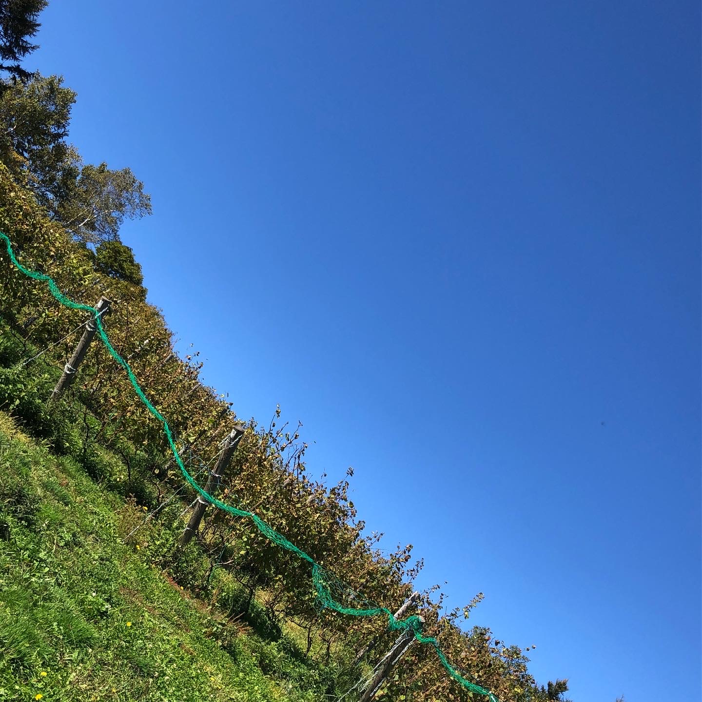 【風】