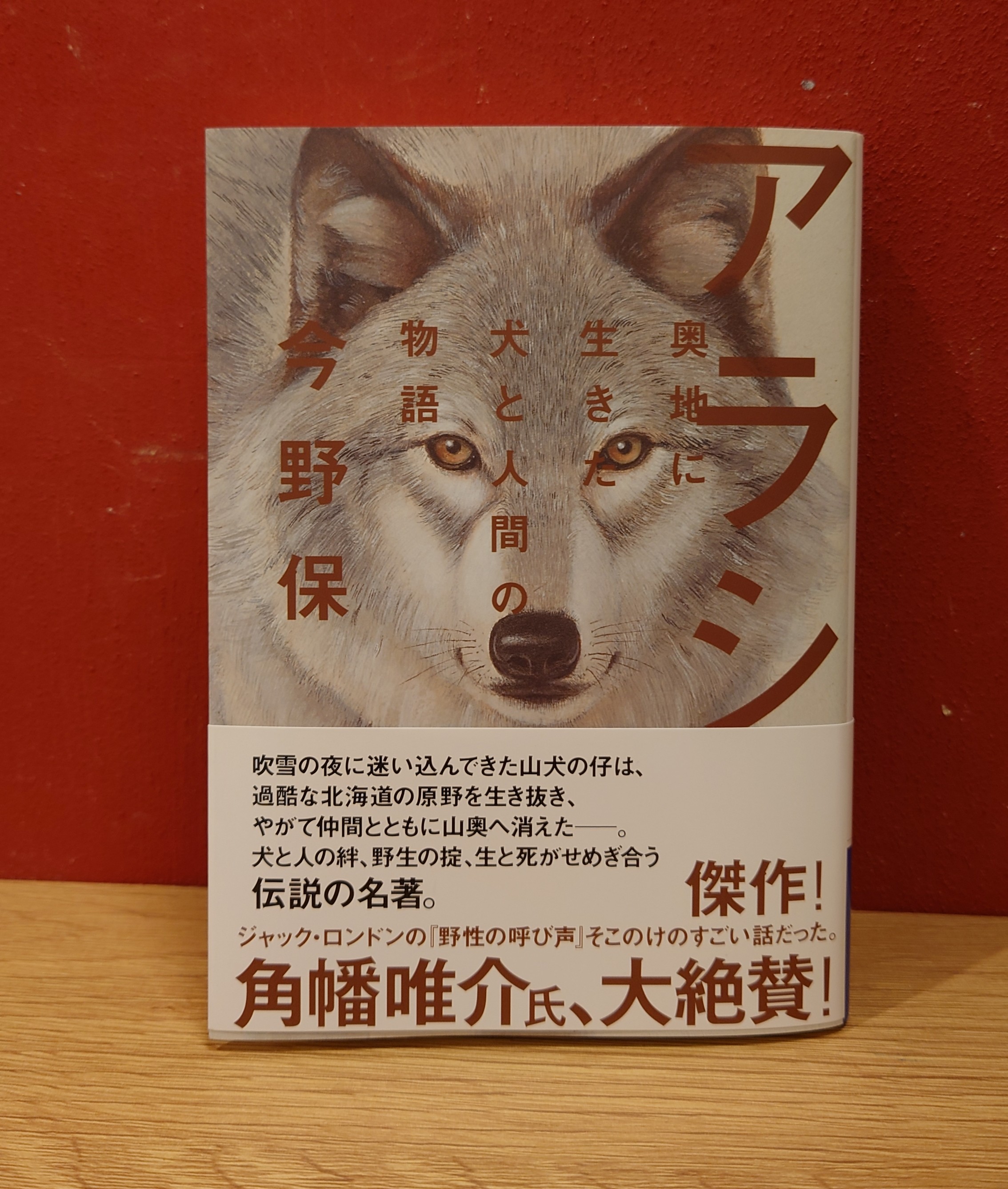 『アラシ～奥地に生きた犬と人間の物語』を読んで