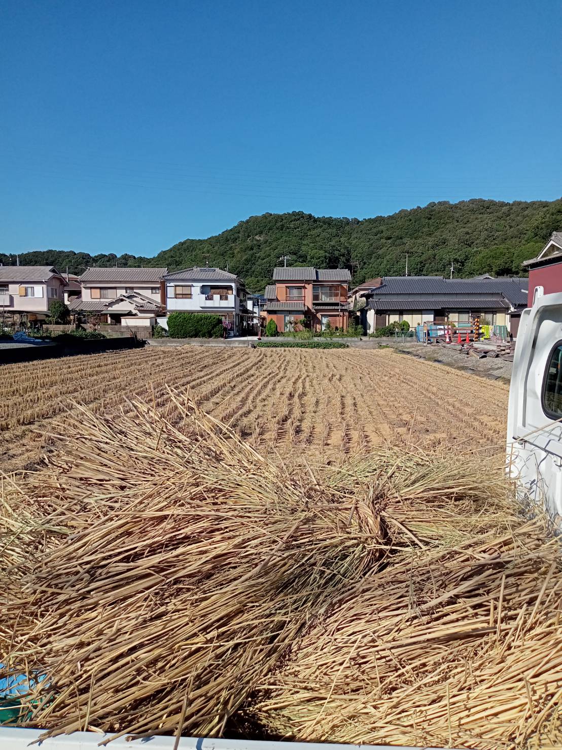 藁が出来ました
