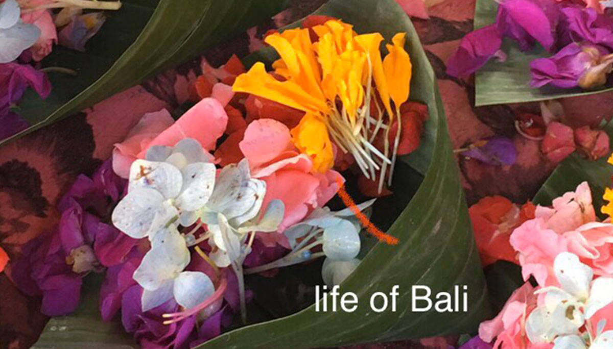 Bali日記＜Baliの日常に欠かせない『チャナン』とは？＞