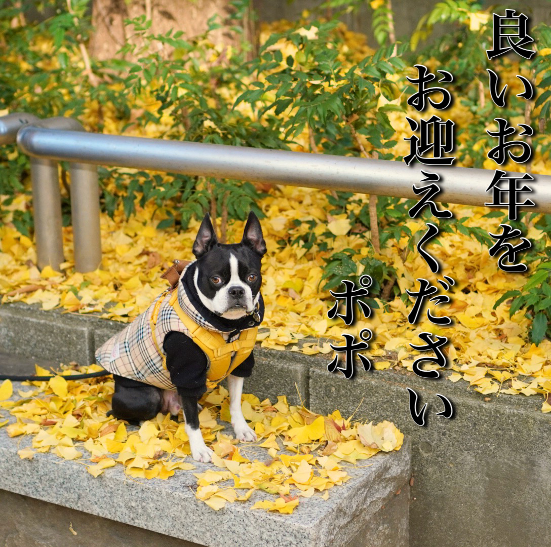 2020年大変お世話になりました😊