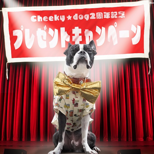 2周年記念プレゼント企画🎁
