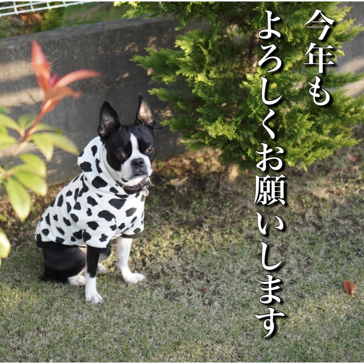 2021年もどうぞ宜しくお願い致します🙇🏻‍♀️