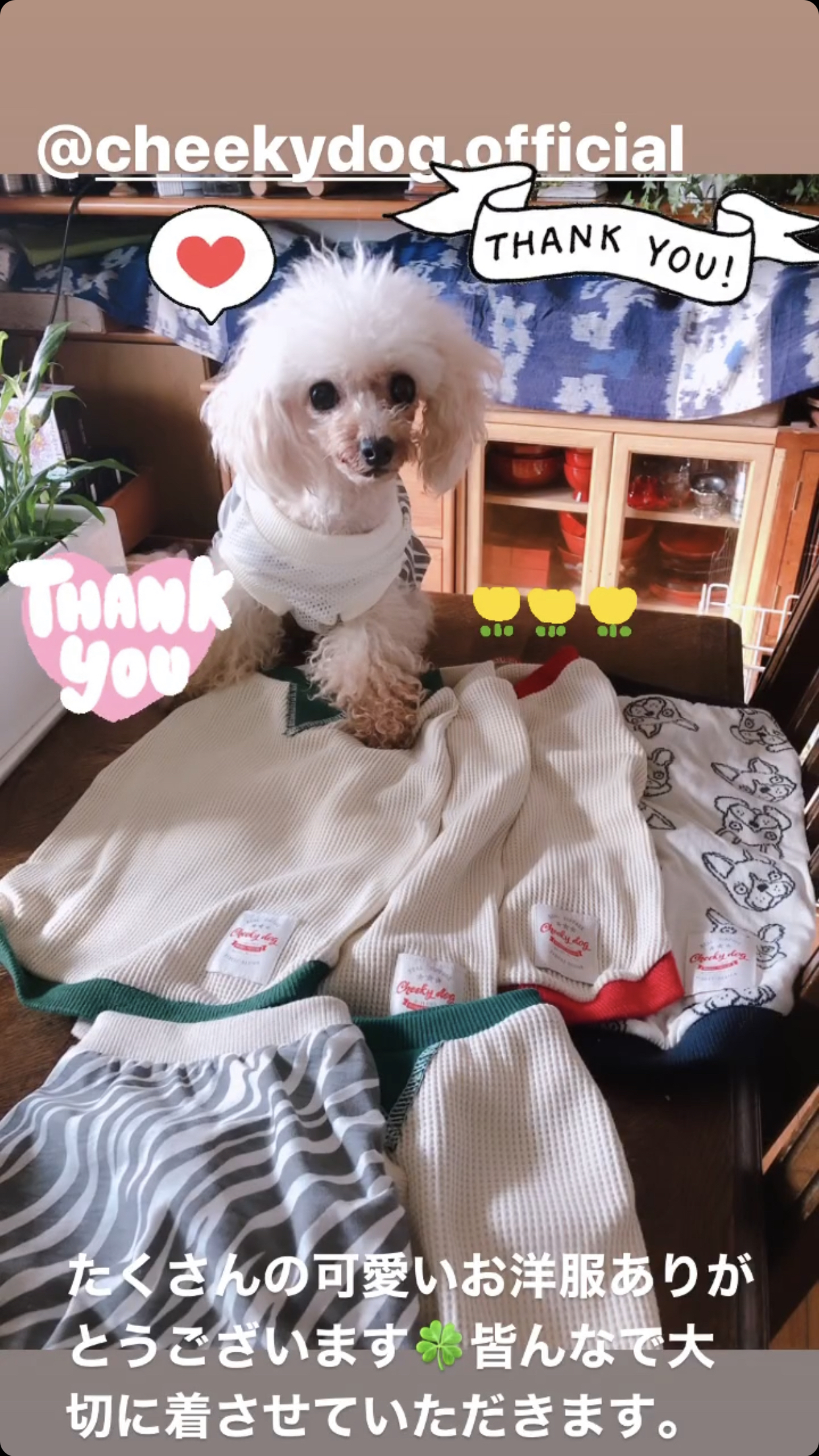 お洋服を寄付させて頂きました♪