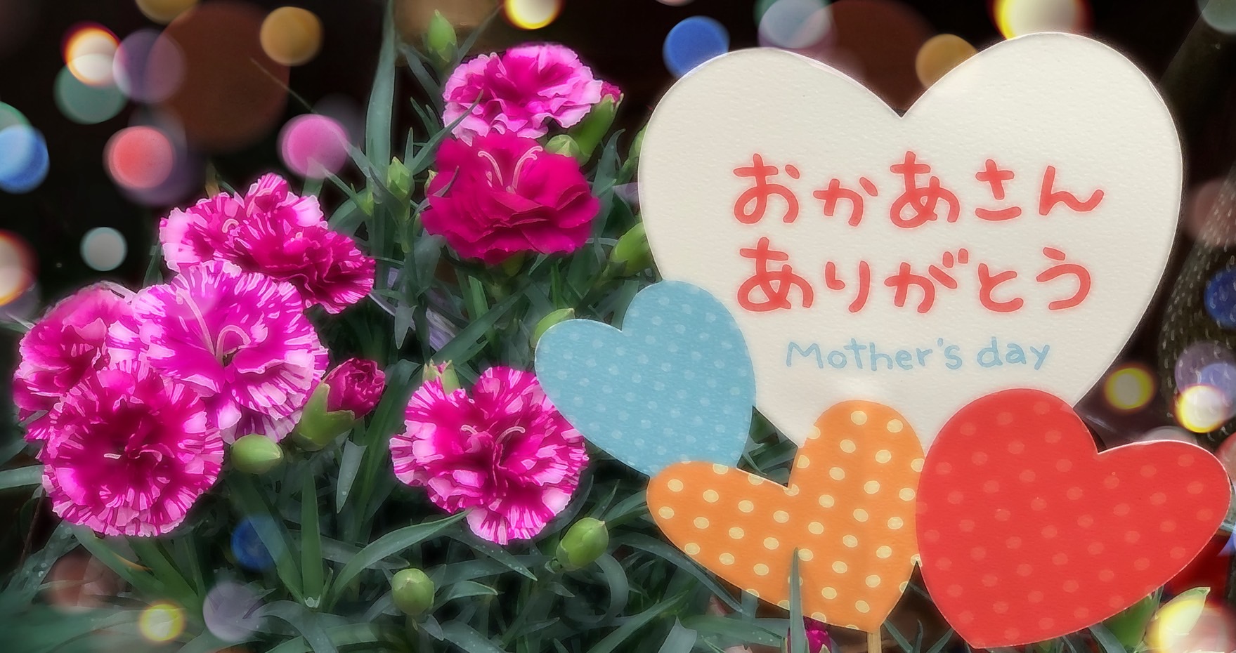 母の日フェア開催中！