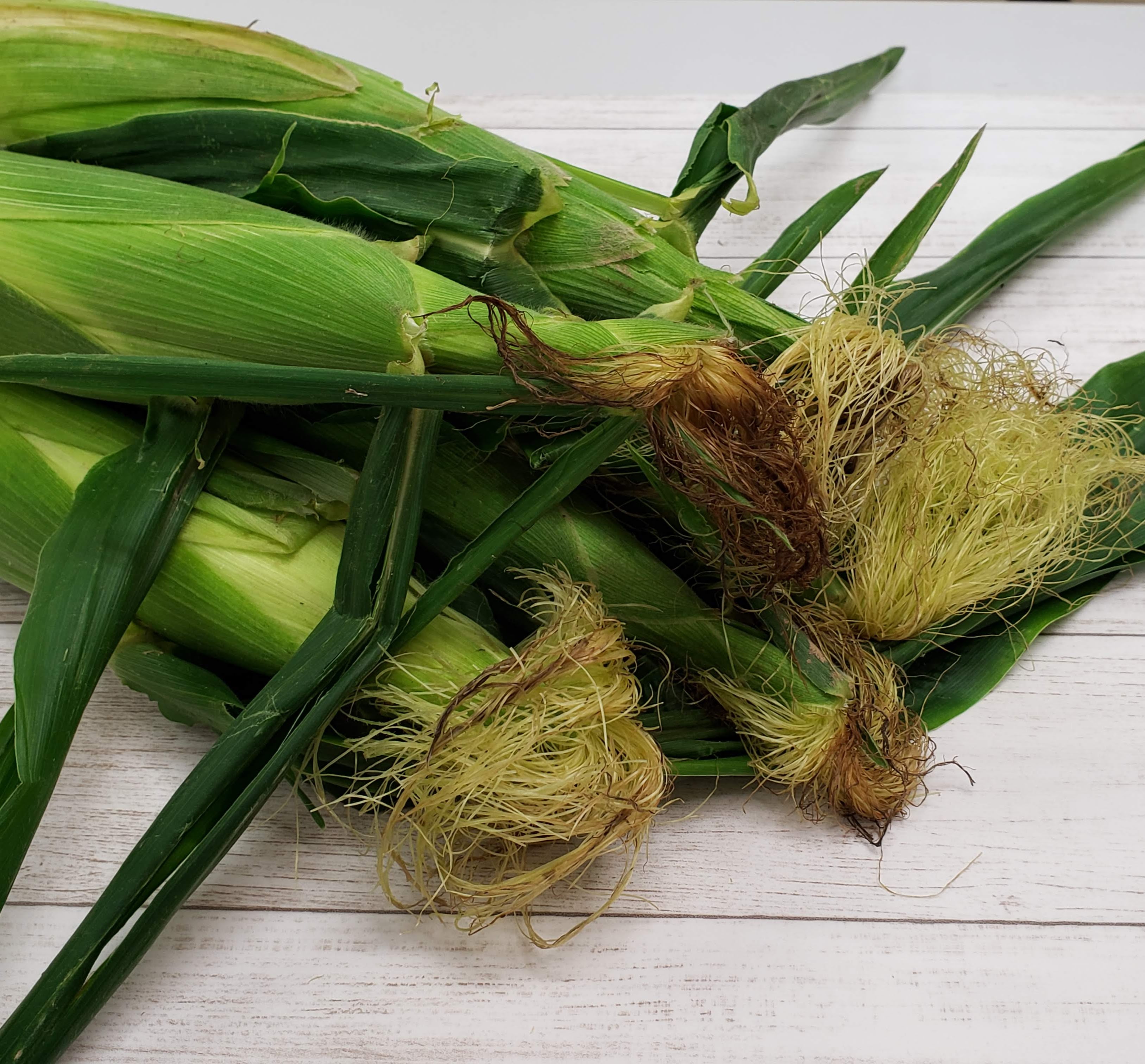 7月だよ～！お野菜・果物！美味しい季節に入ってきましたね～🎵