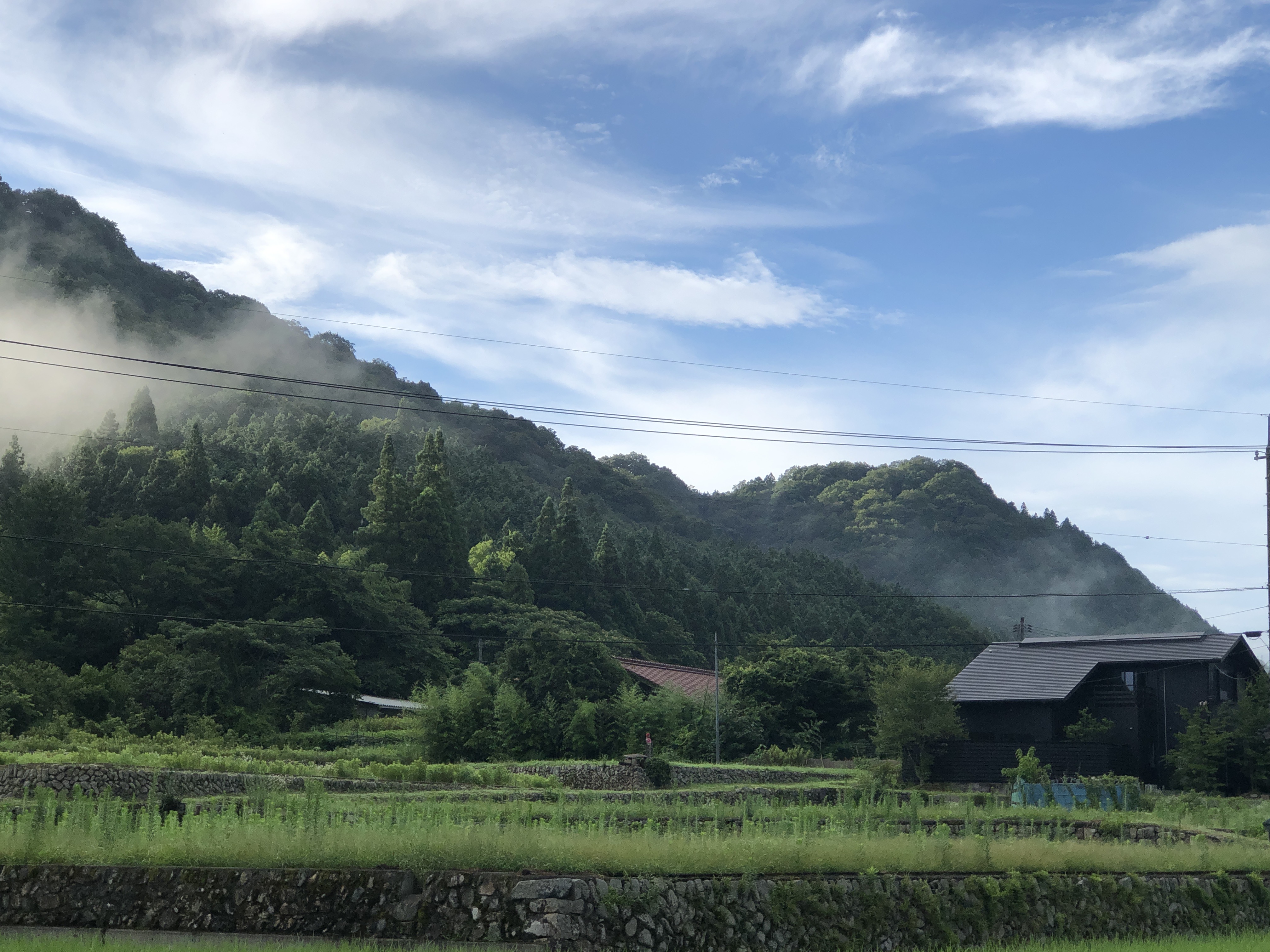 夏季休暇のお知らせ