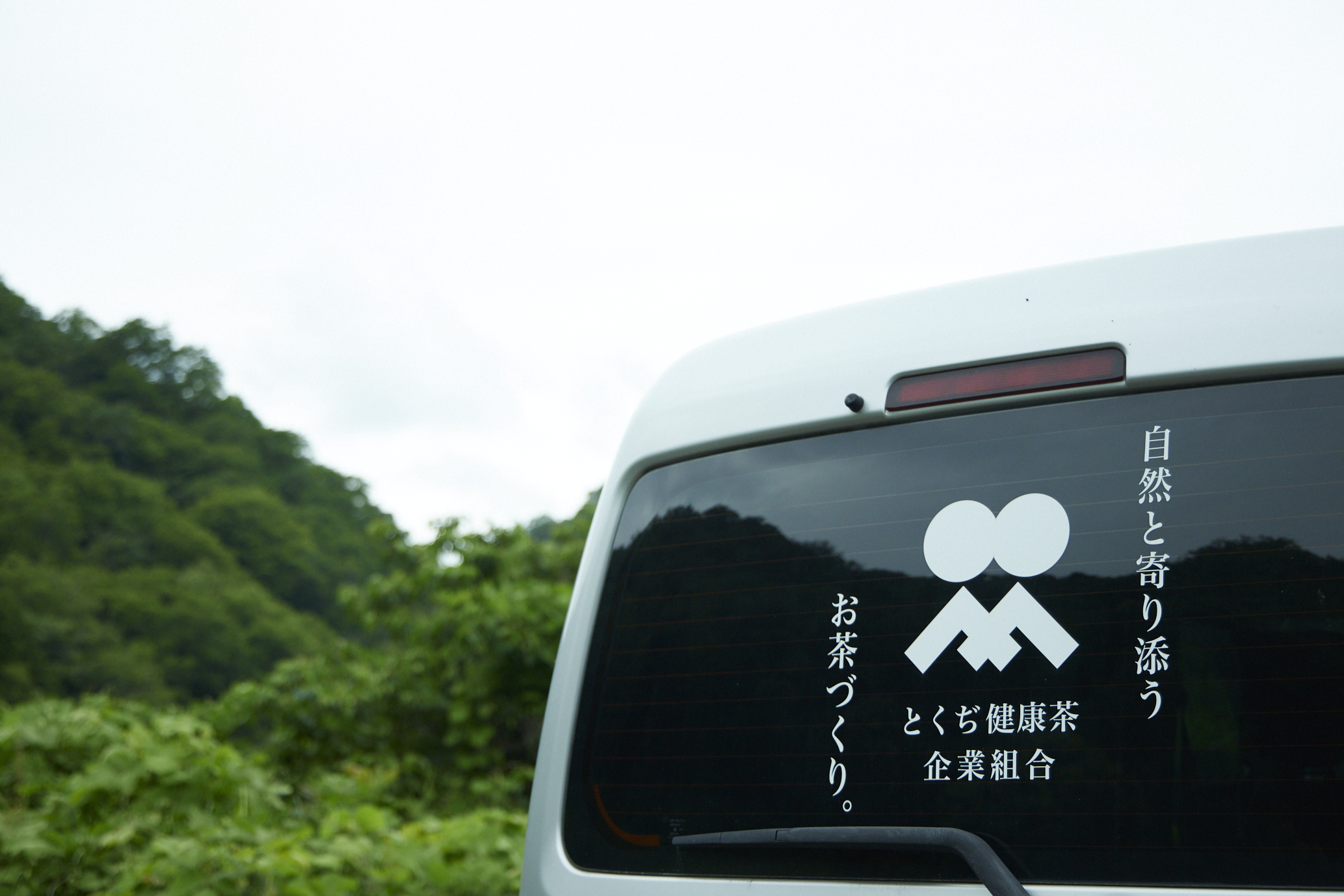 10ヶ月、待つ。山口・徳地の小さな工場で受け継がれる薬草茶の手仕事