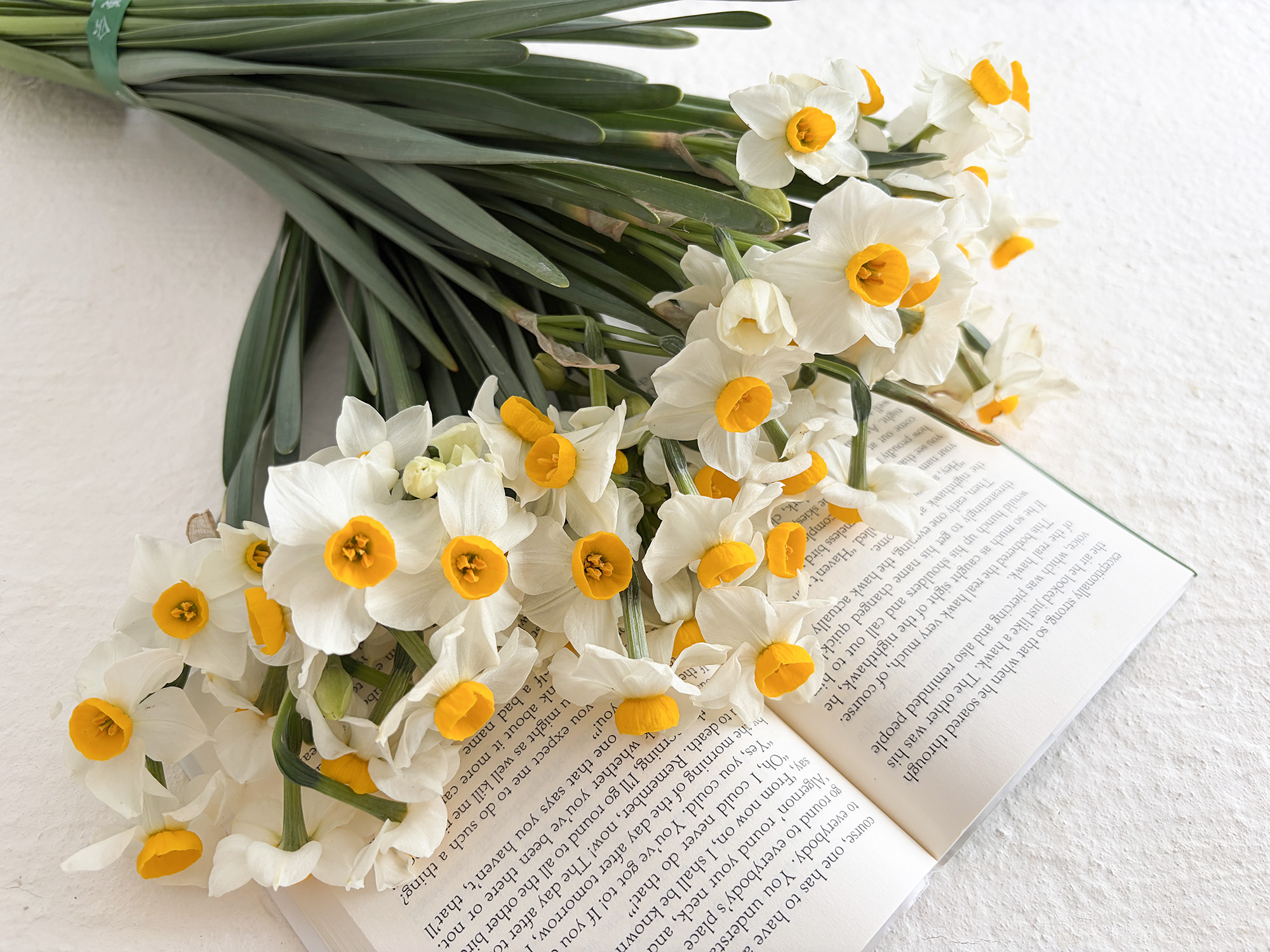 越前水仙の輪。未来へつなぐ想いと情熱：MISAKI CREATORSさま（福井県）