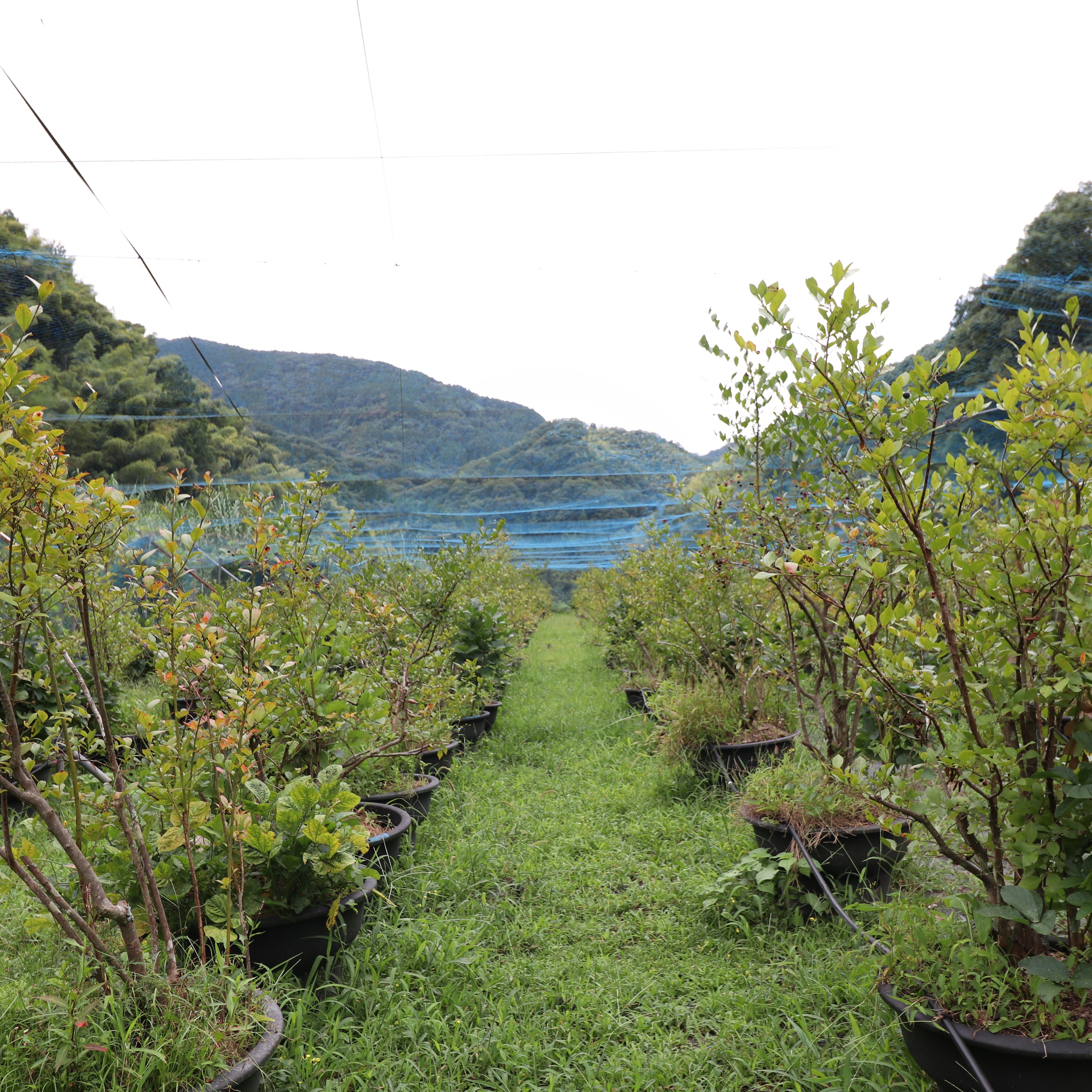 #3 バックカルチャーシステムとの出会い