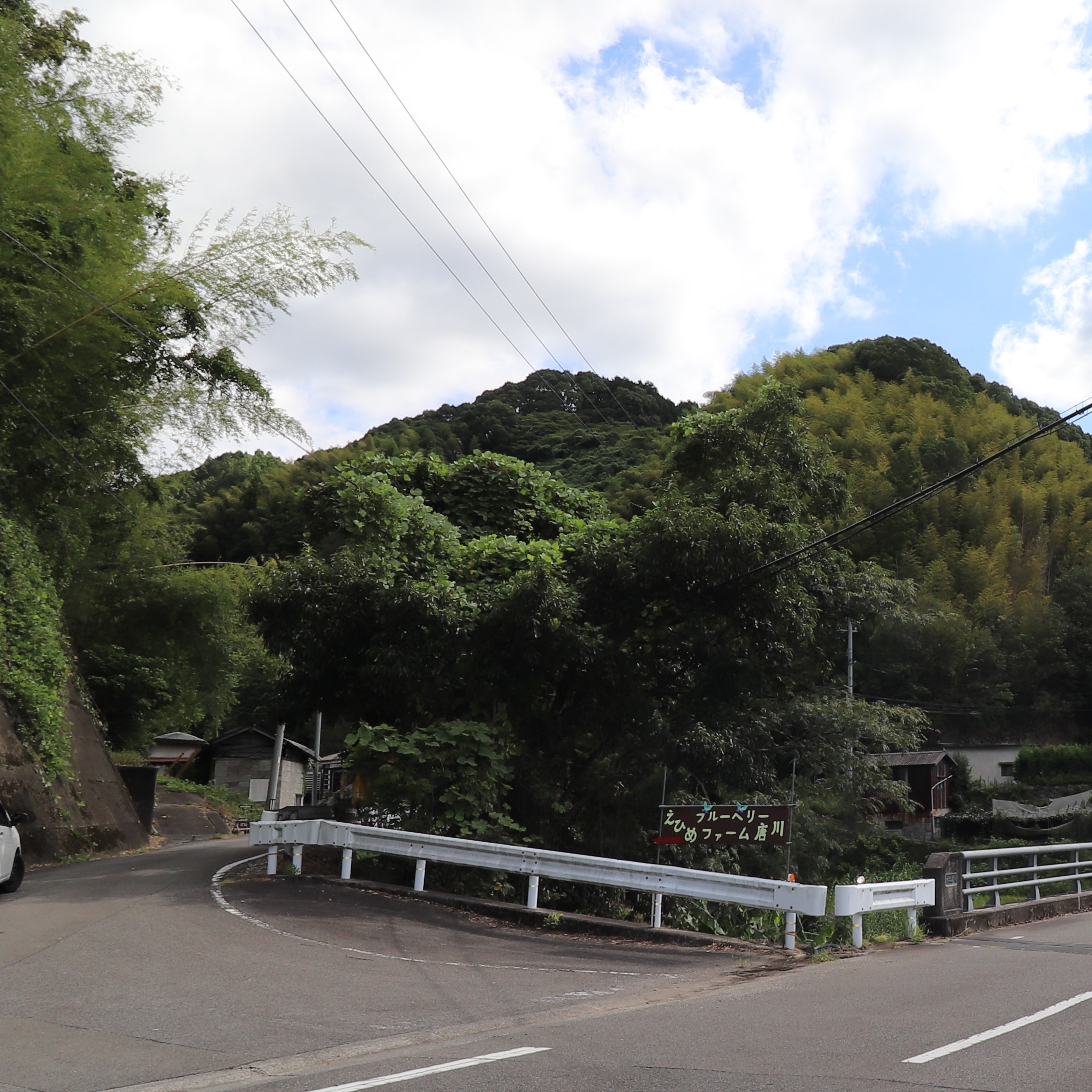 #1 片岡さんのブルーベリーパイ