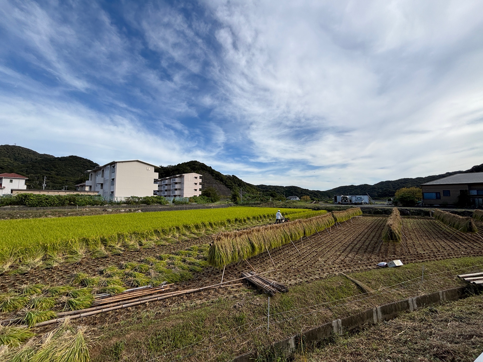 つきあかりってどんなお米?— 炊きあがりの香りと粒立ちが魅力の“やさしいお米”