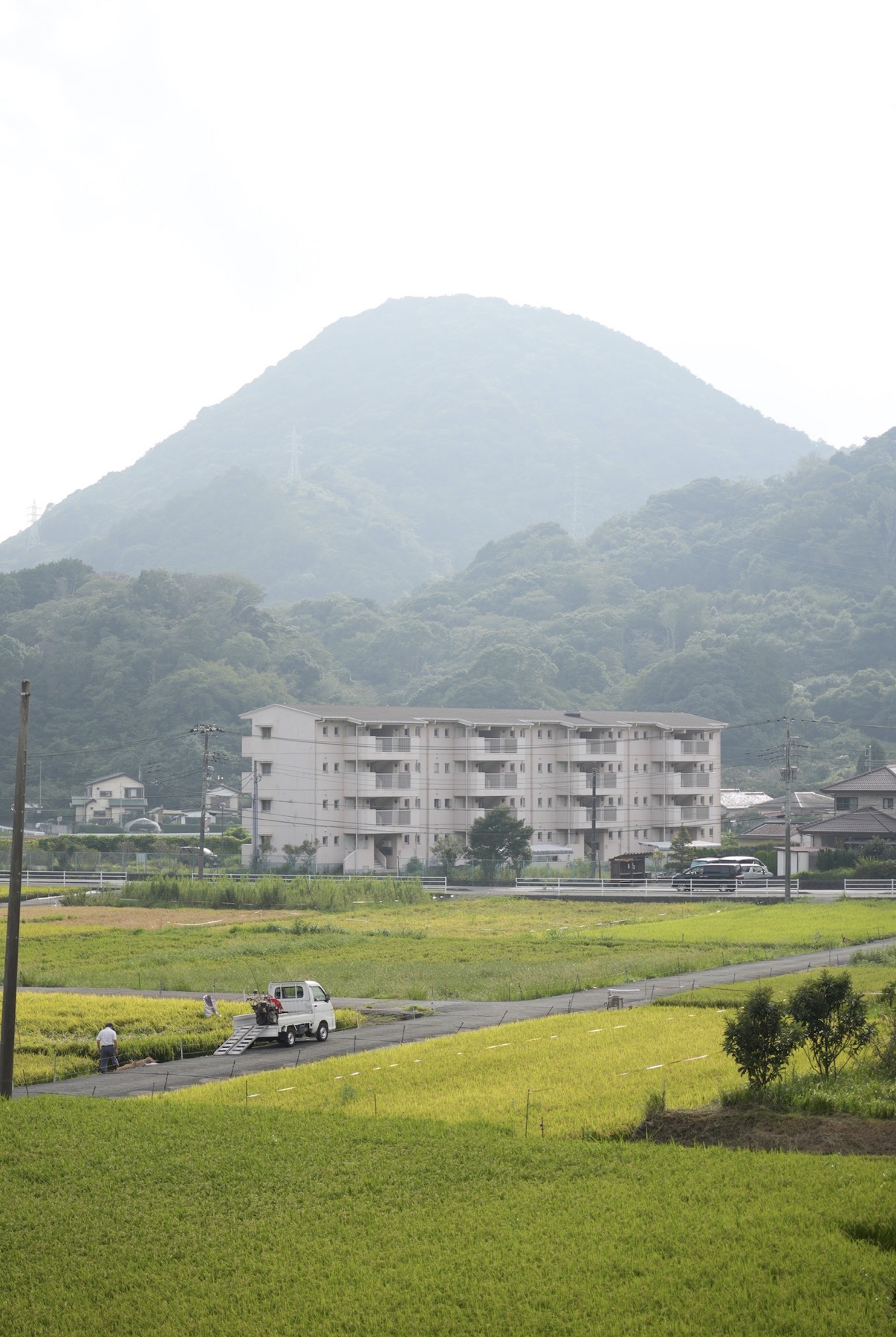 新米入荷しました!令和7年産 つきあかり