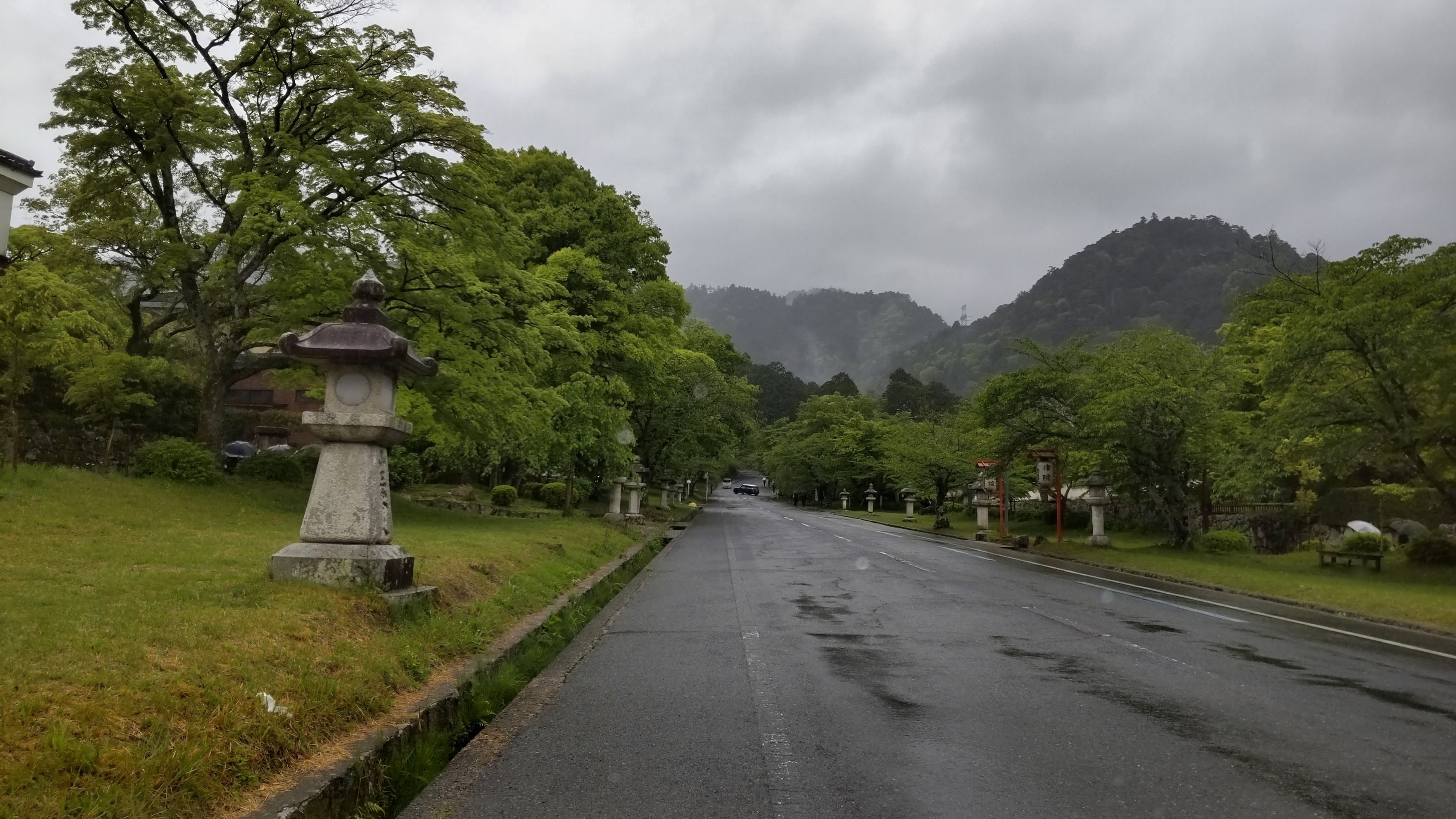 五月になり、今日は久しぶりの雨です