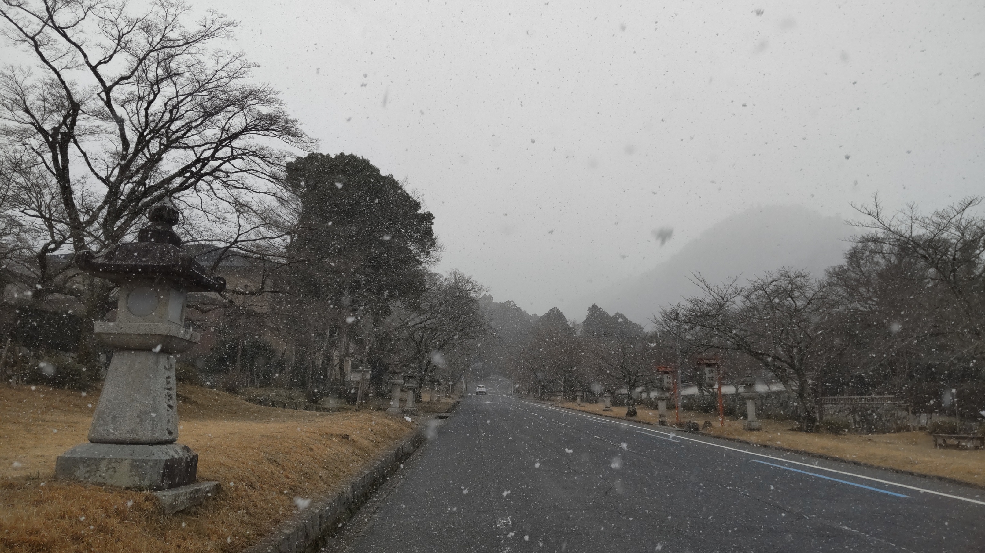 三月も半ばを過ぎて…雪＾＾