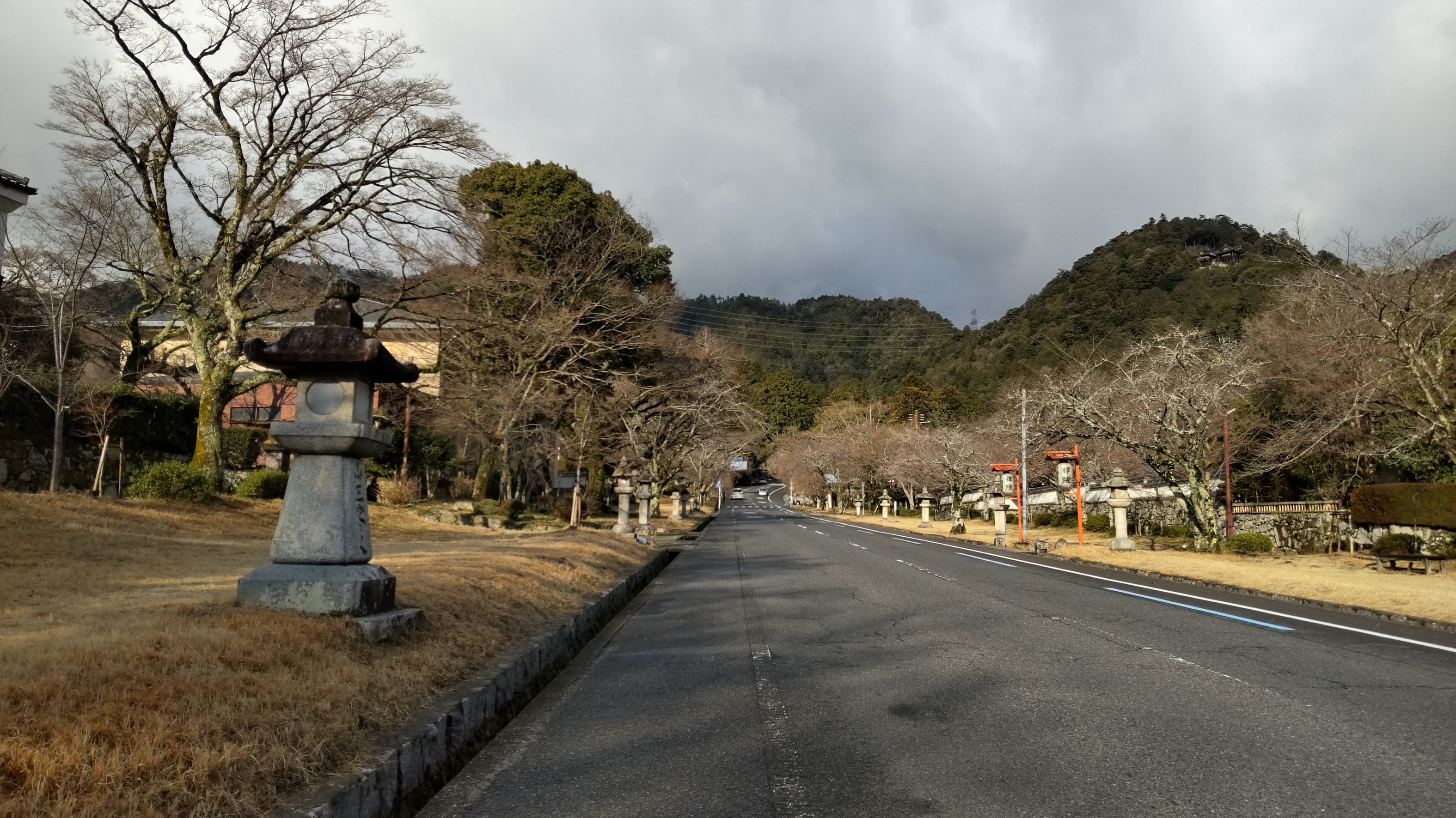 おはようございます＾＾
