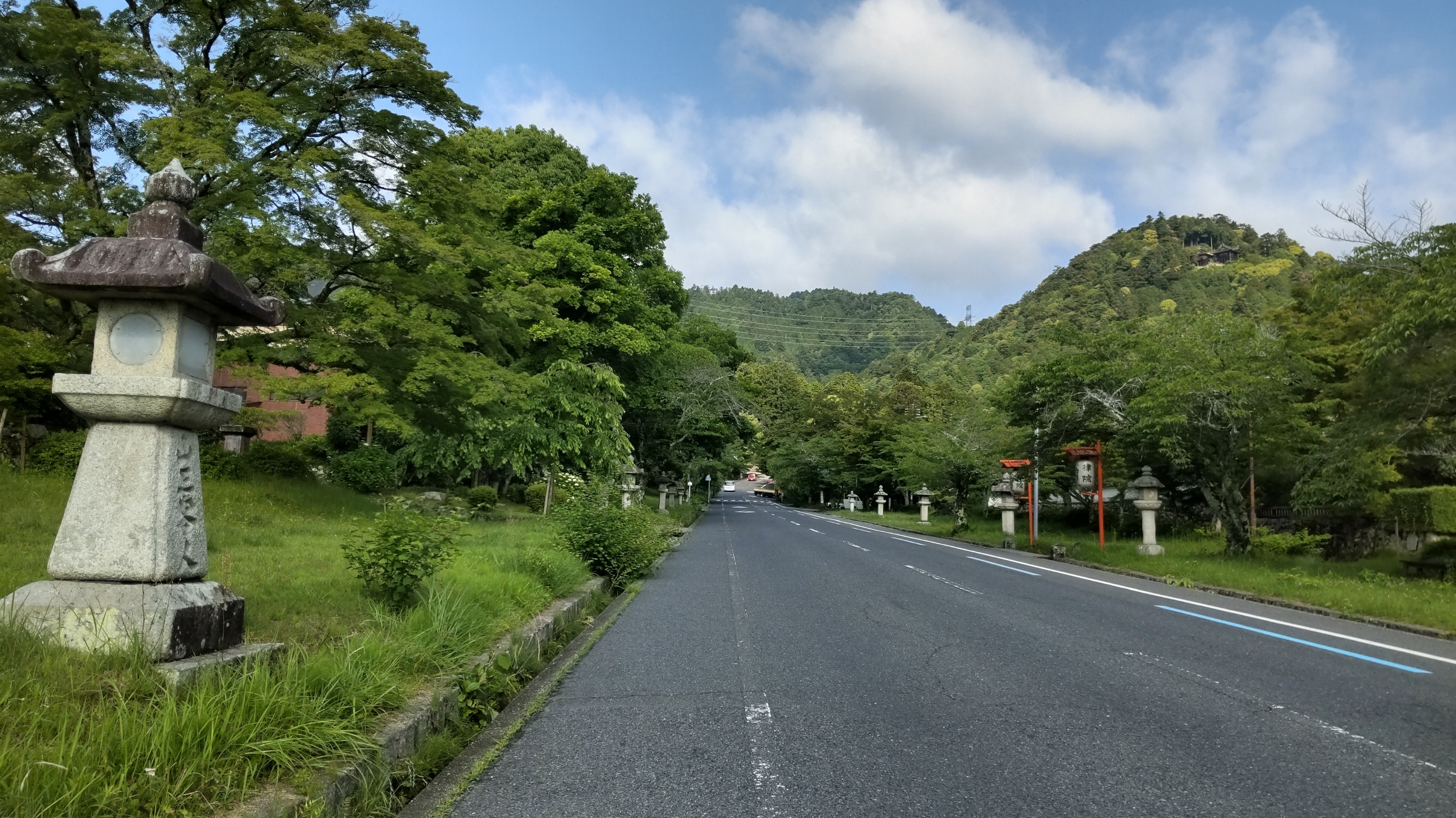 雨上がり、青空の綺麗な朝です＾＾