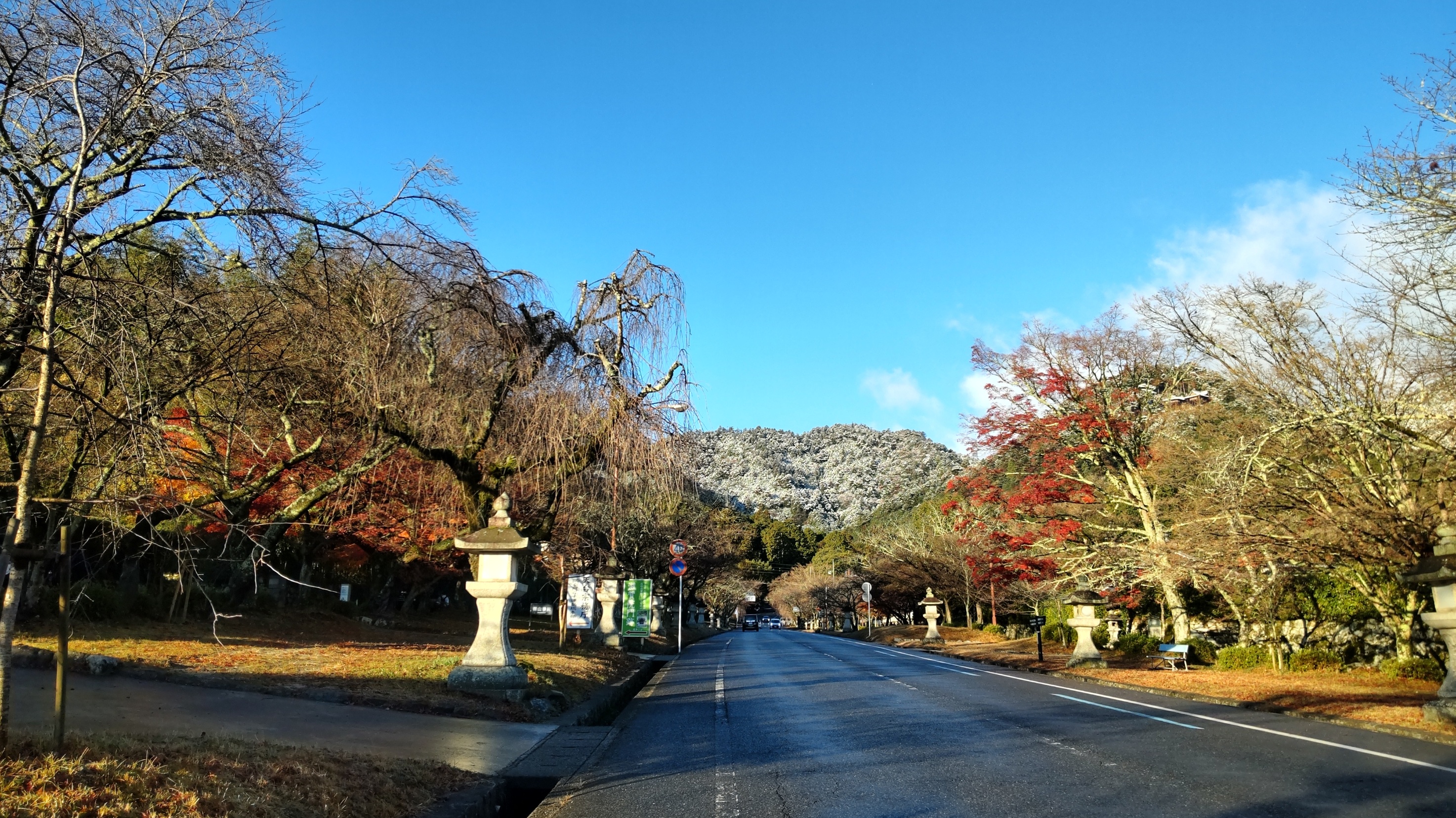 今朝の日吉大社参道からの風景