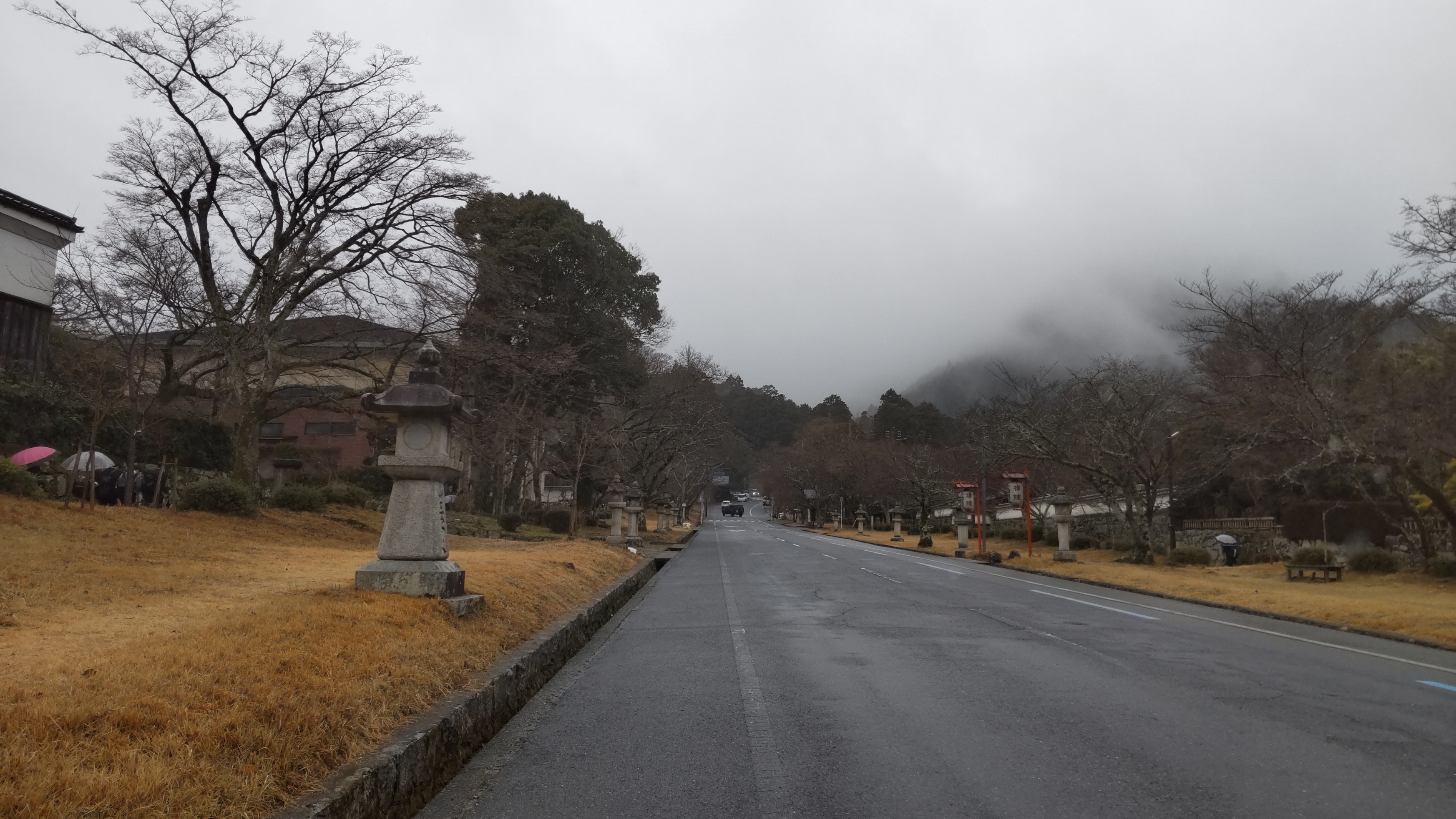 三月四日の、霧の写真