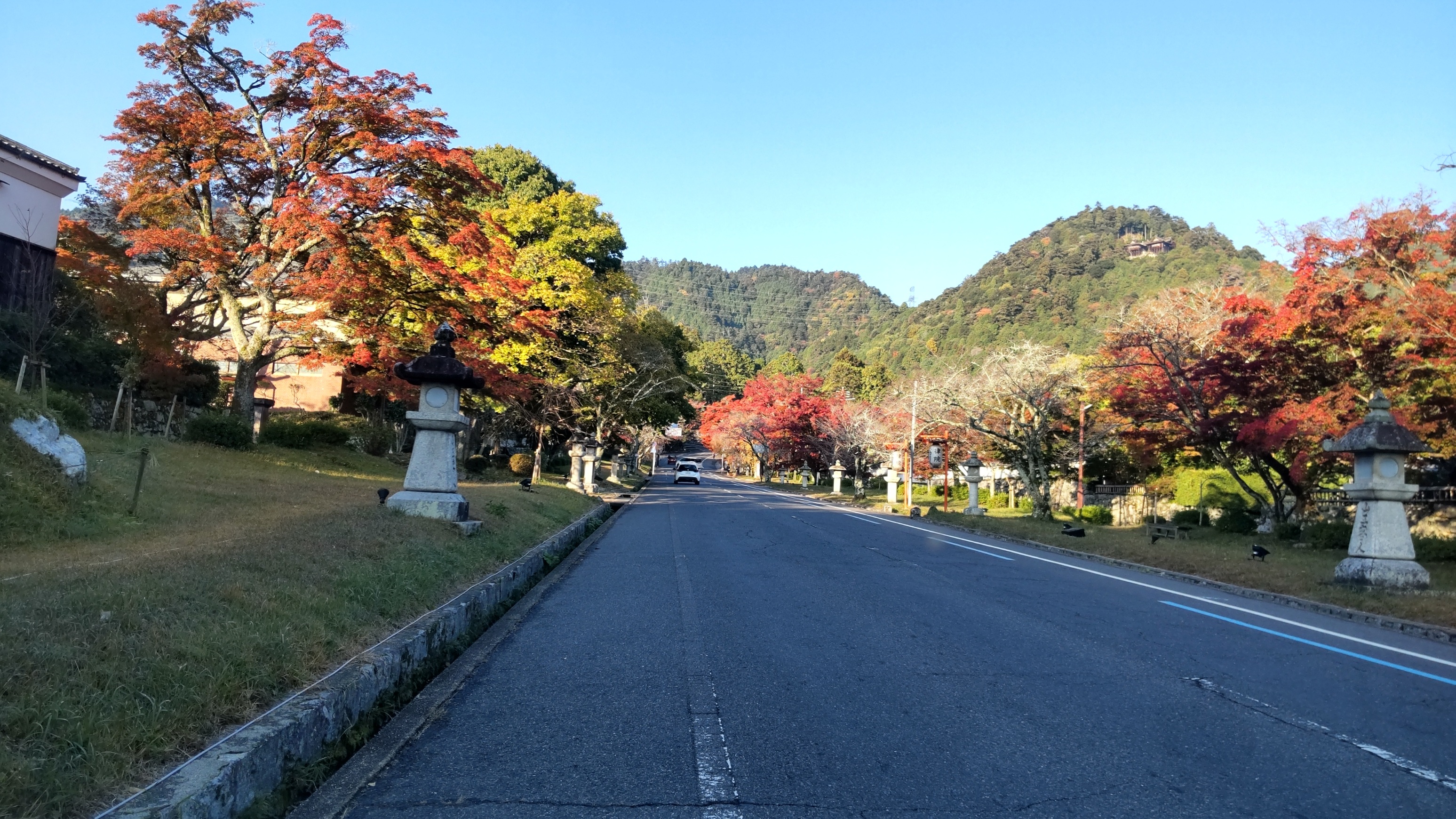 十一月も後半になりました^^