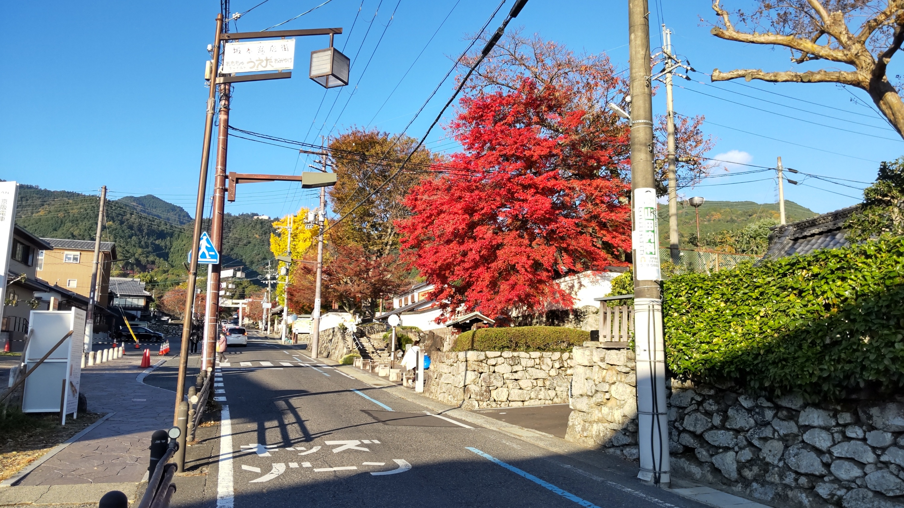 真っ赤な紅葉、黄色い銀杏＾＾