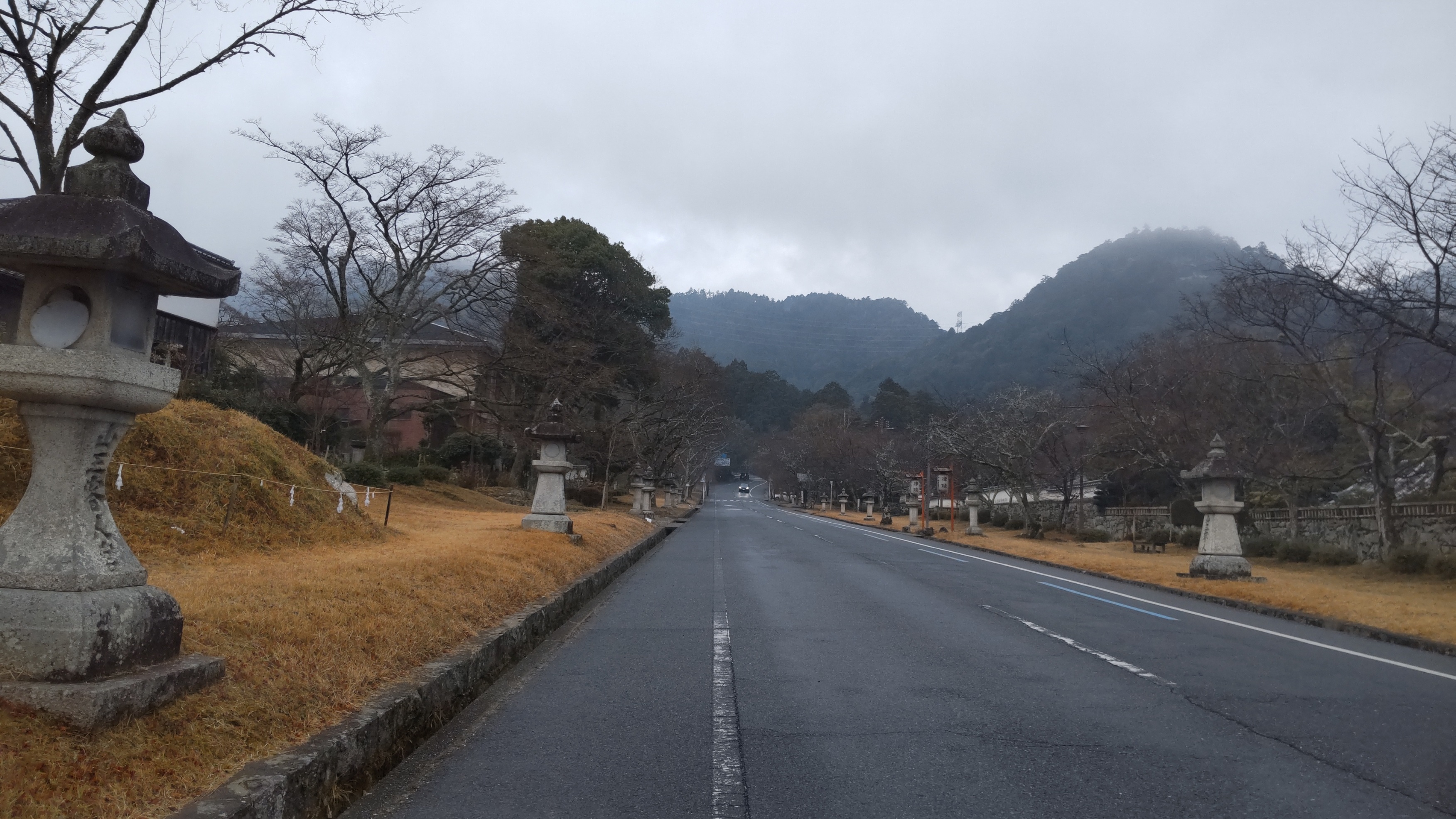 今日は霧の朝でした