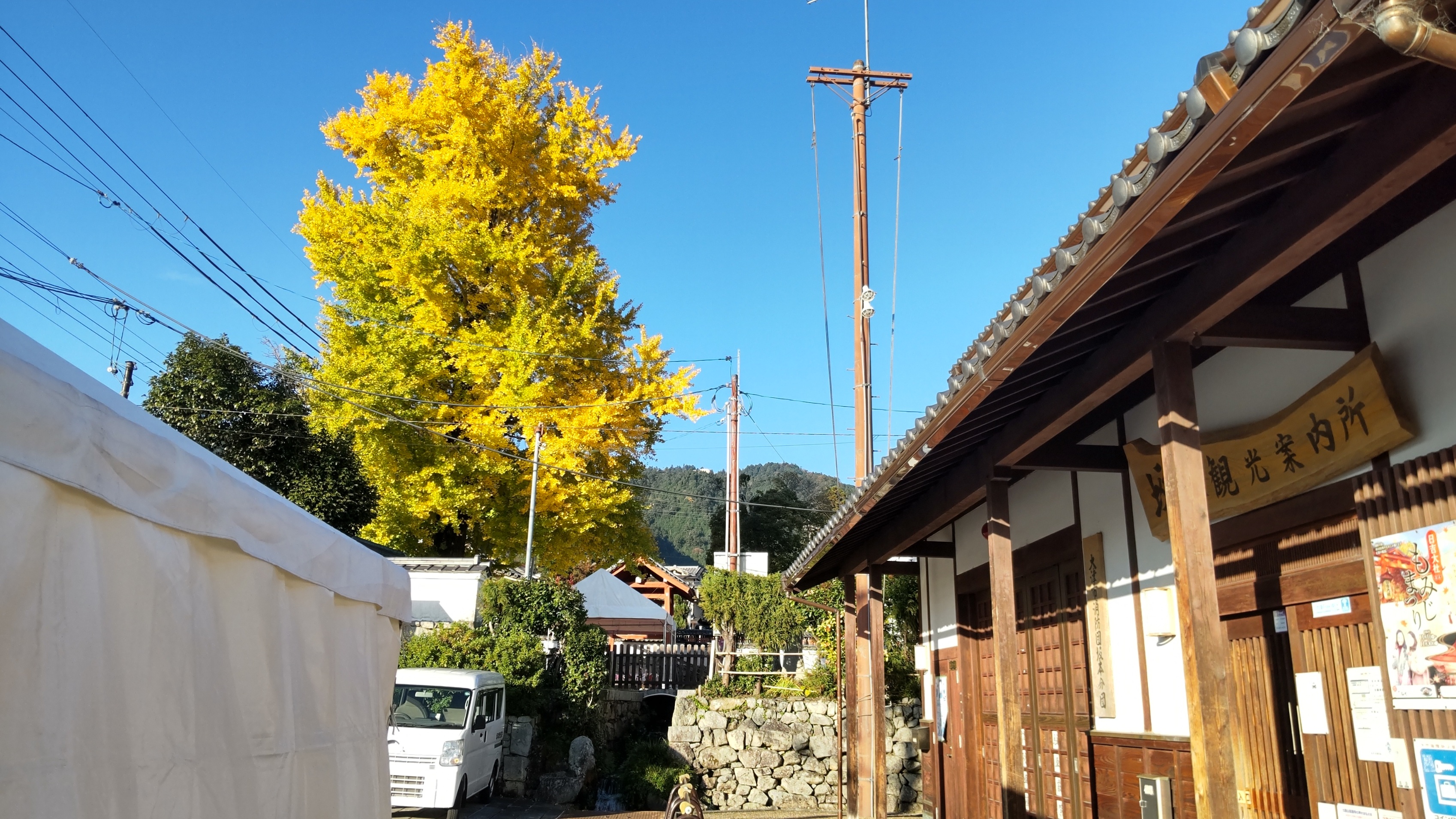 週末は家族で紅葉狩りへ＾＾