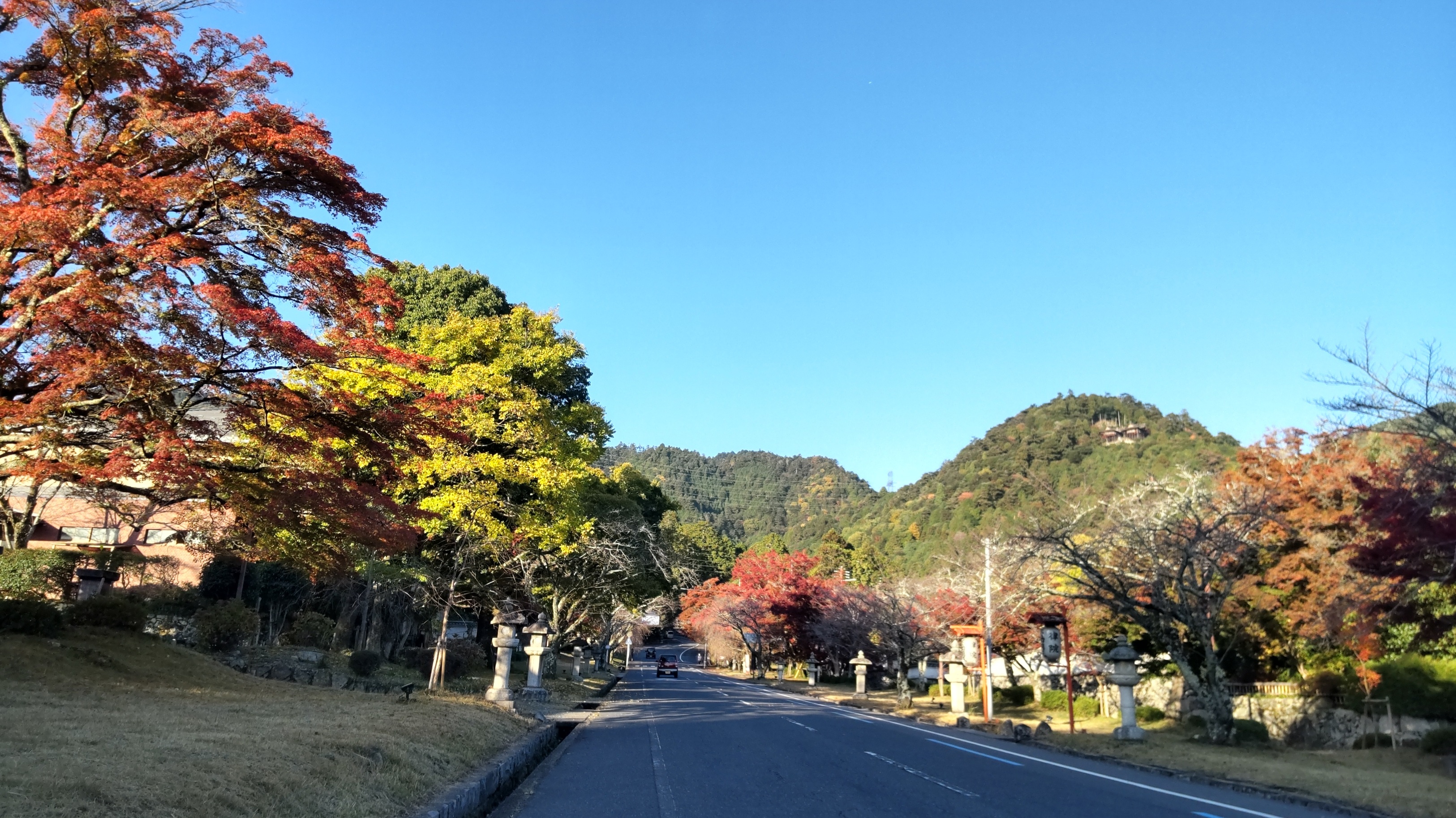 今日は秋晴れ＾＾