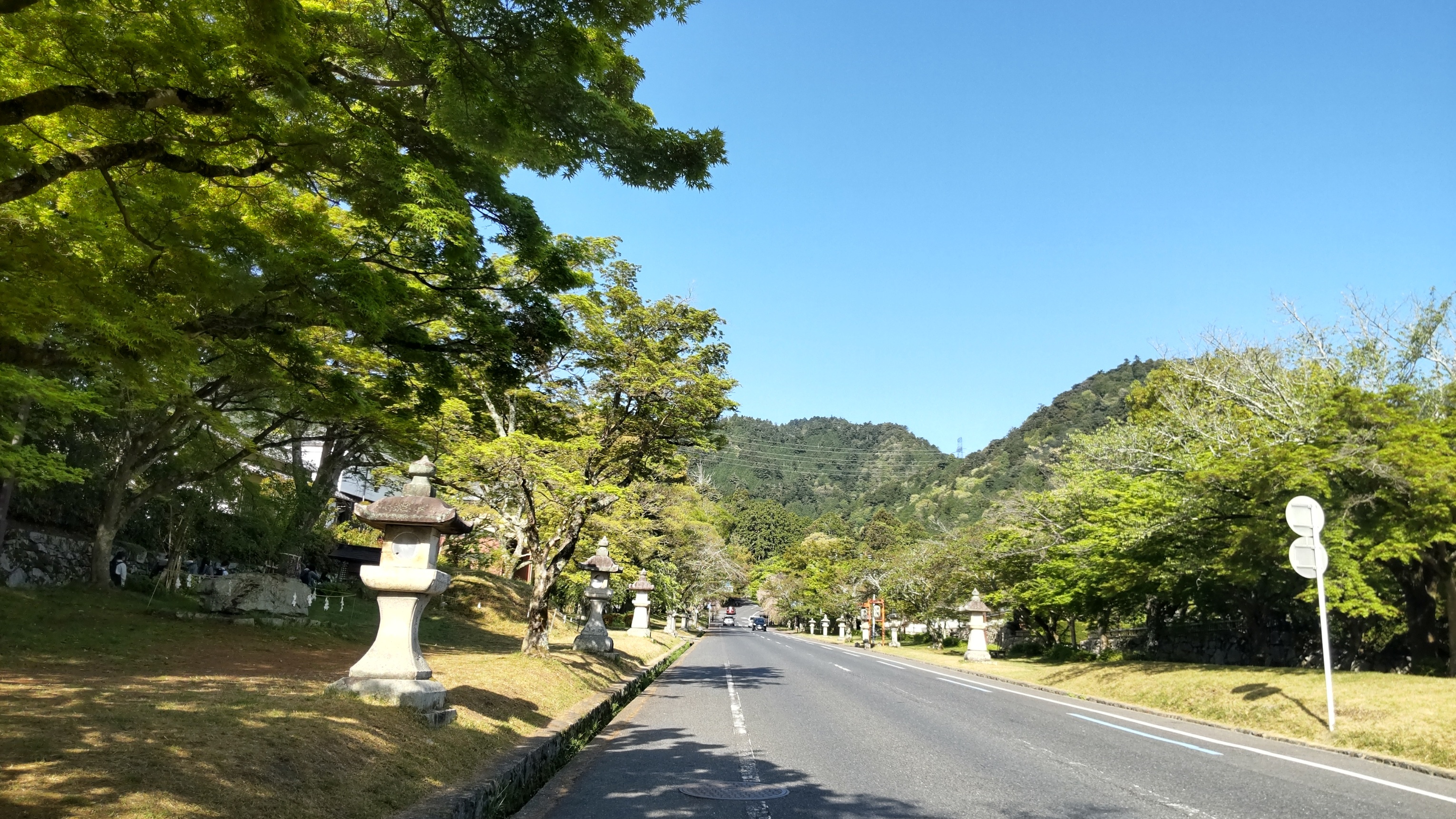 若葉紅葉の季節ですね＾＾