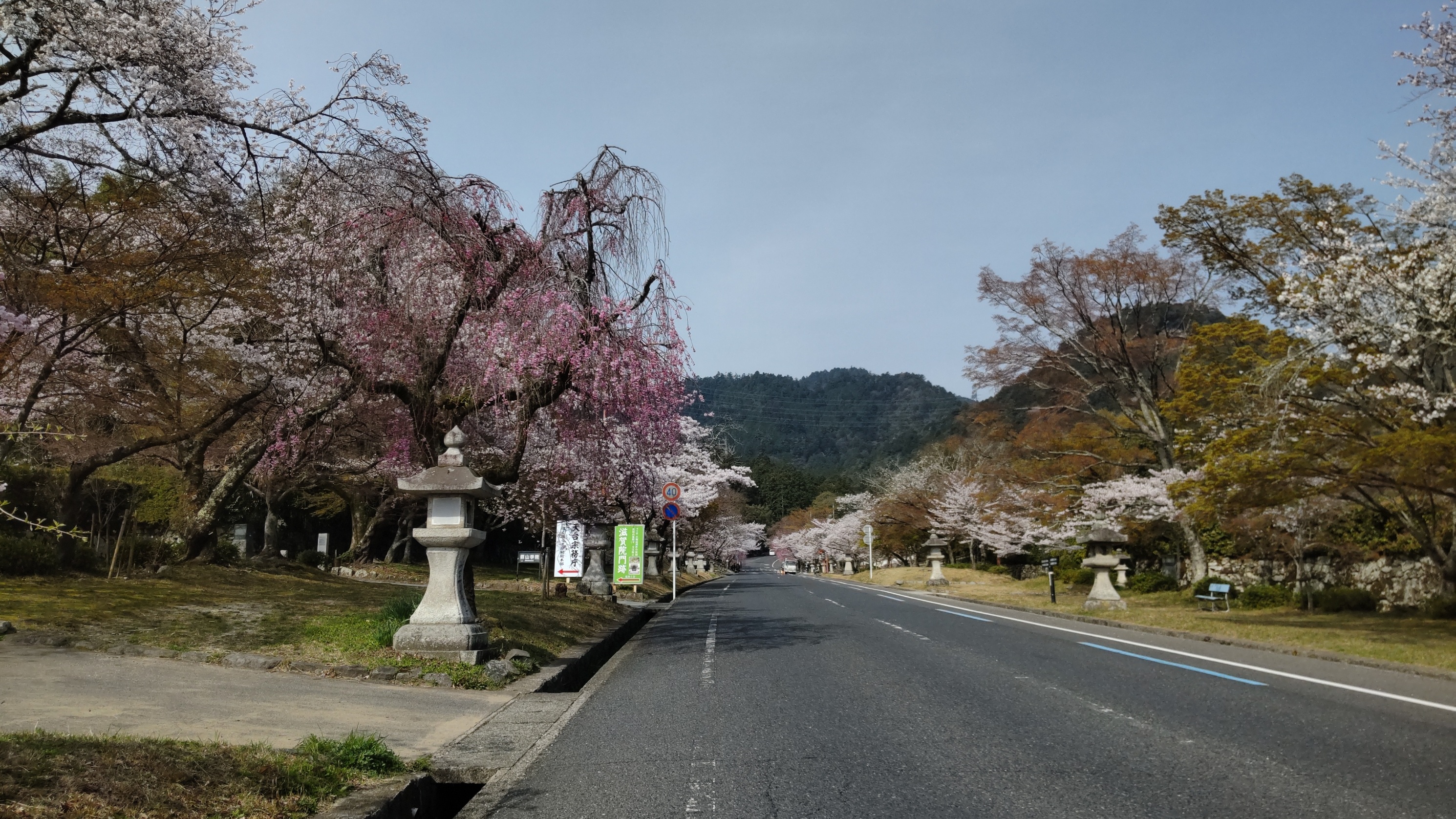今朝は曇り空、そして雨予報ですね＾＾