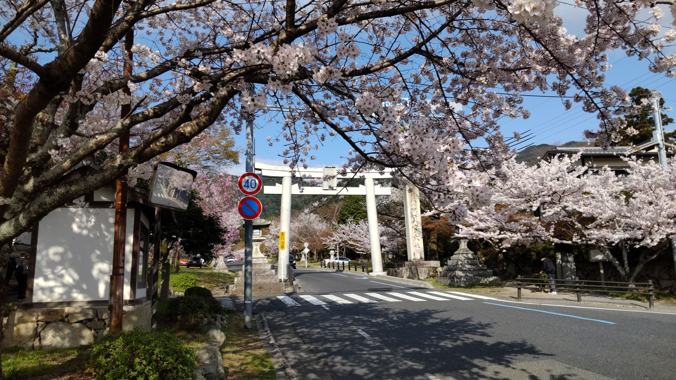 今日は小学校・中学校の始業式＆入学式＾＾