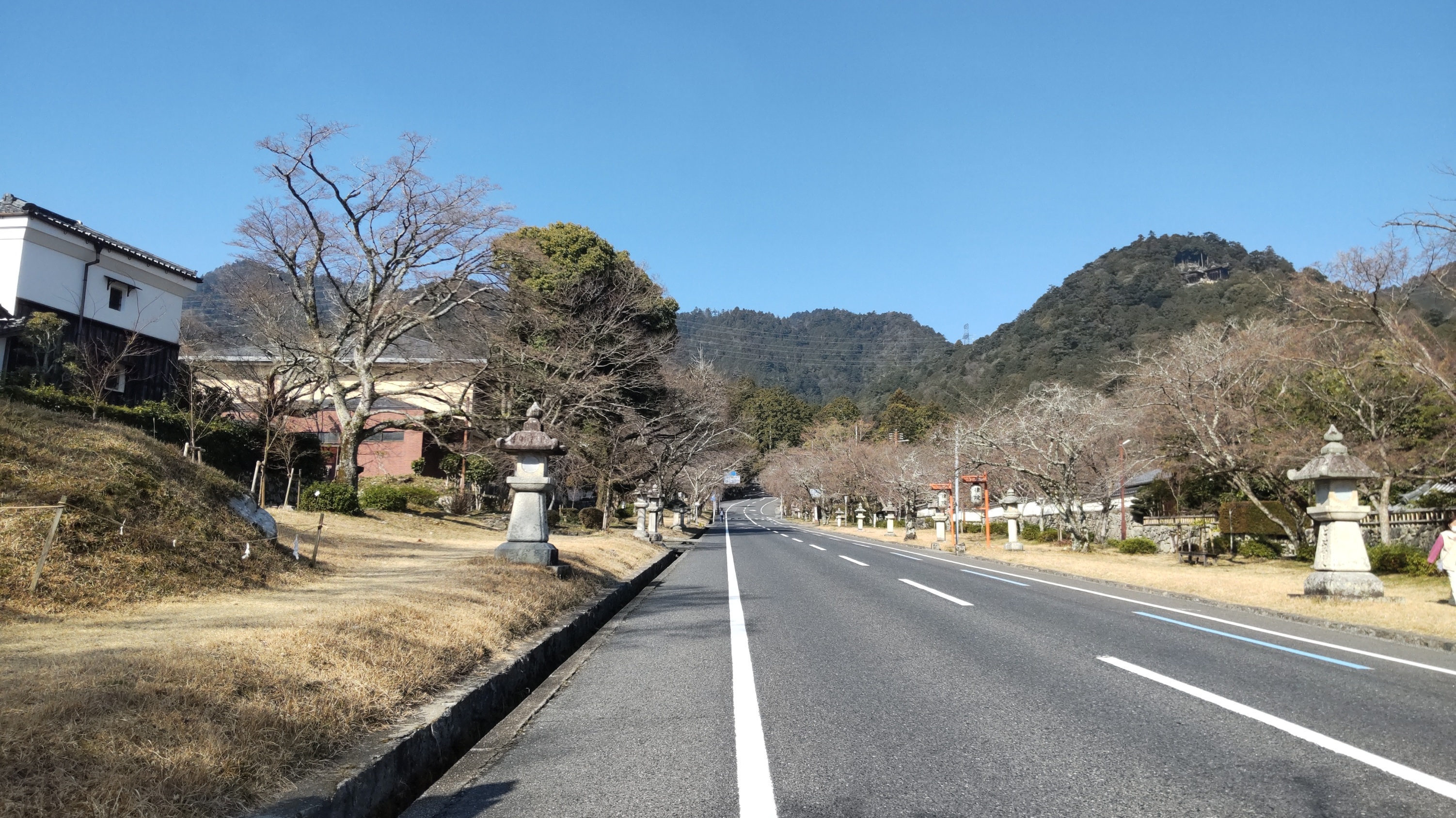 桜の開花、そろそろ。