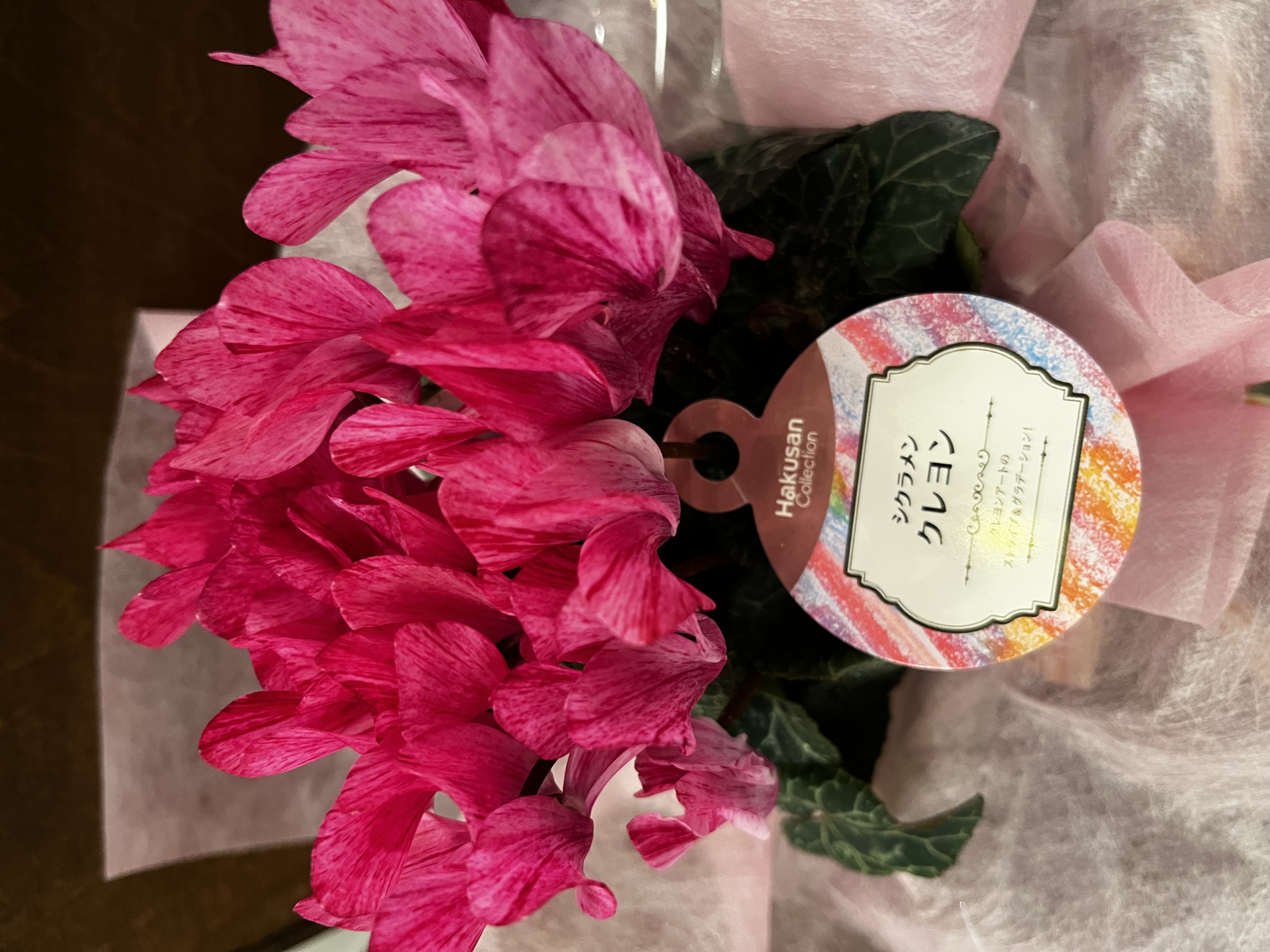 それぞれのクリスマス