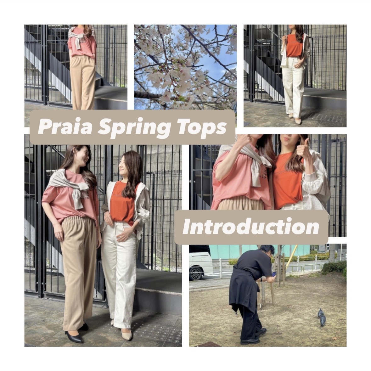 【大人の色物】派手すぎない絶妙カラー♡春を彩る「褒められトップス」2選