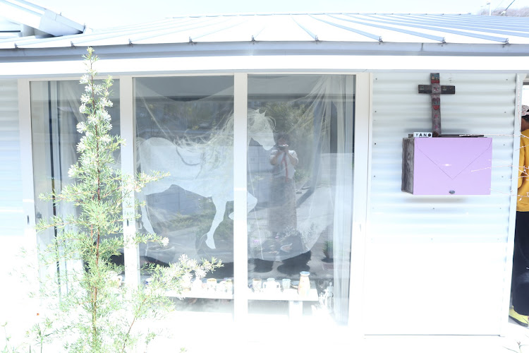 ピンク光の会二〇二六春のおもいで