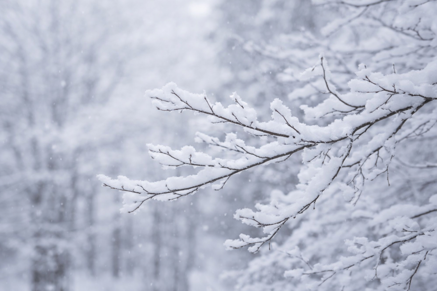発送遅延のお知らせ