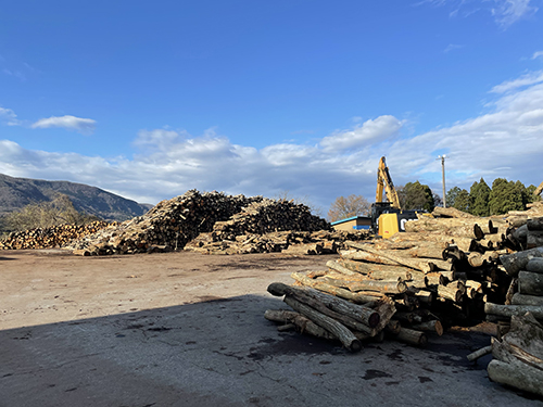 森から生まれたかたち