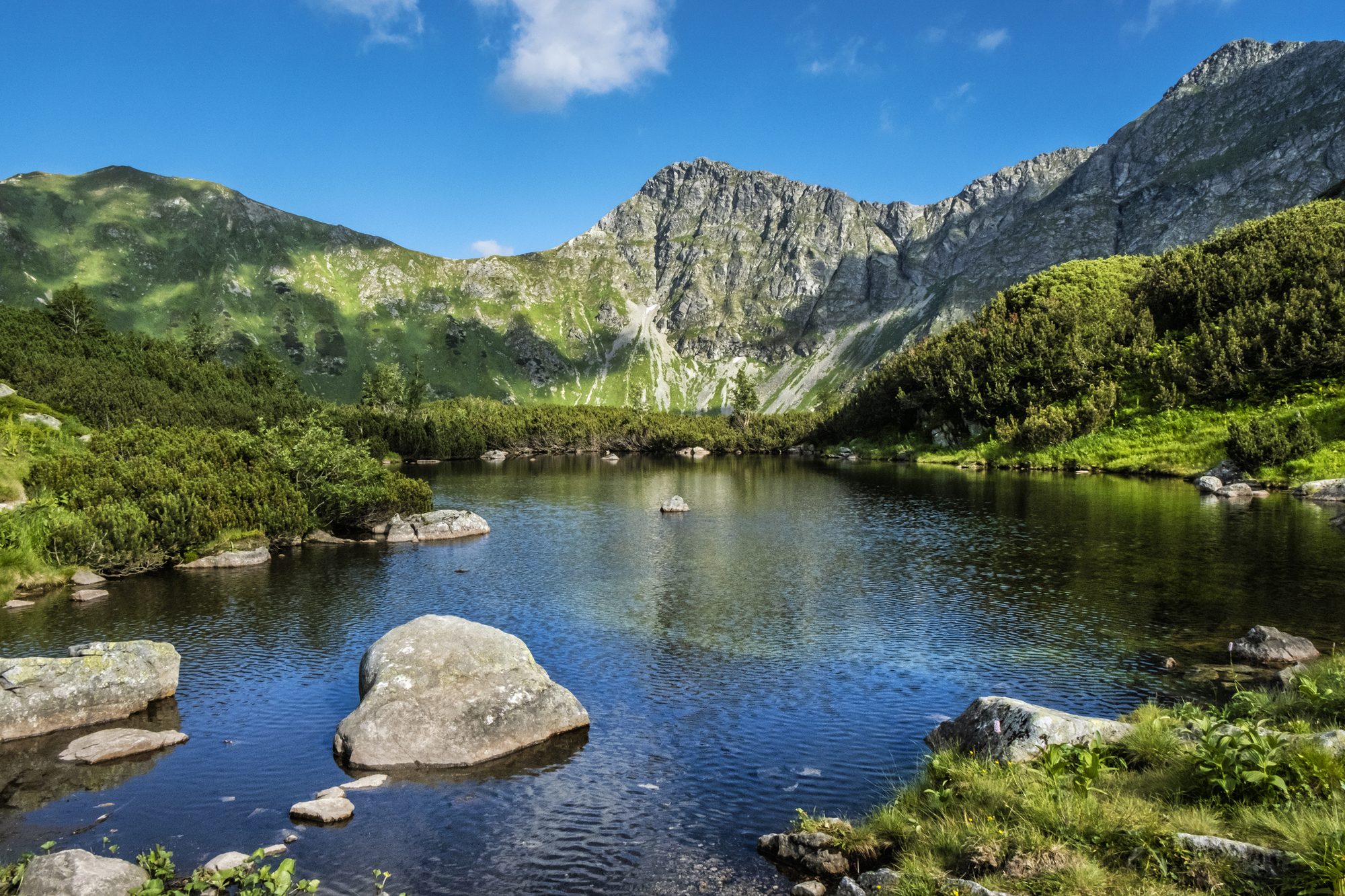 隠れた名品。ココマニの羽毛布団がいいらしい。
