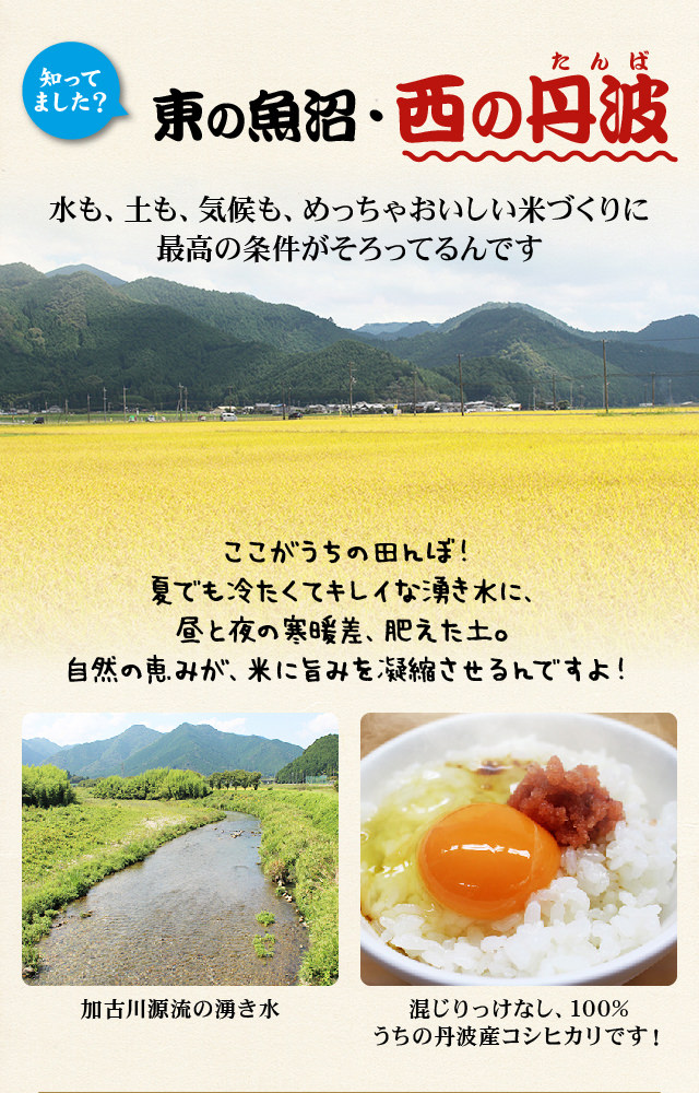 美味しいには理由がある