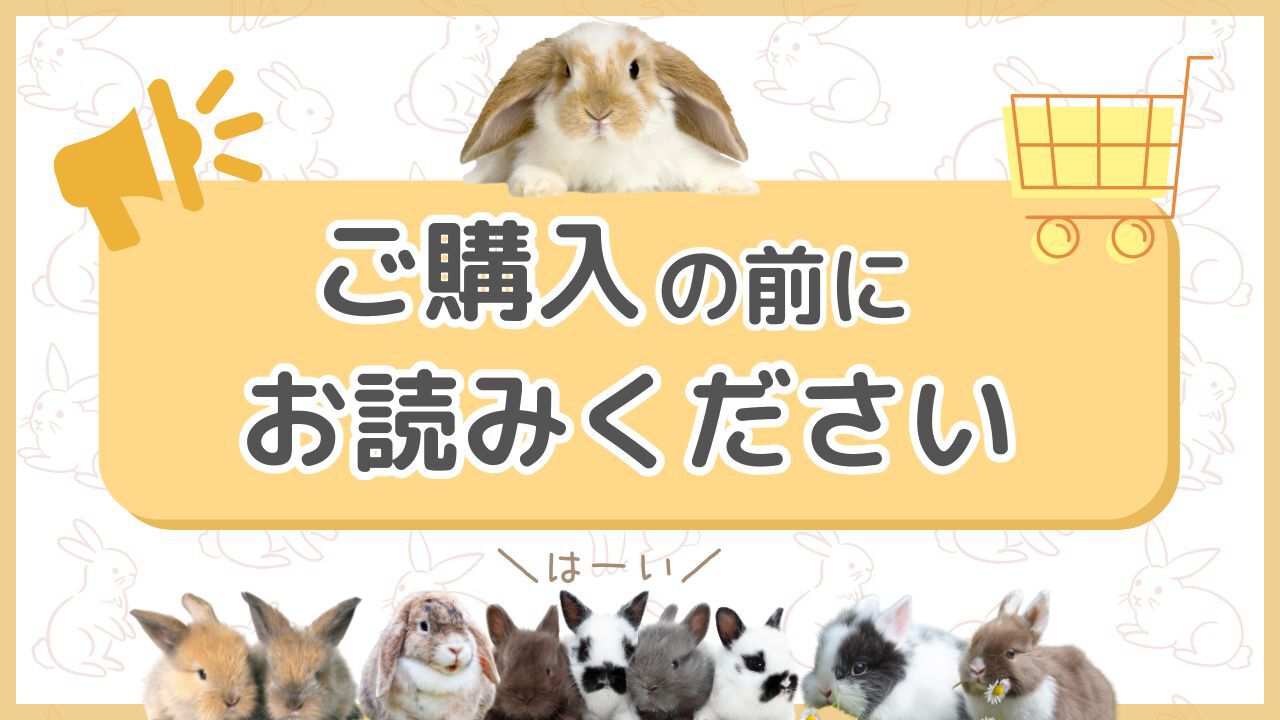 ★ご購入の前にお読みください