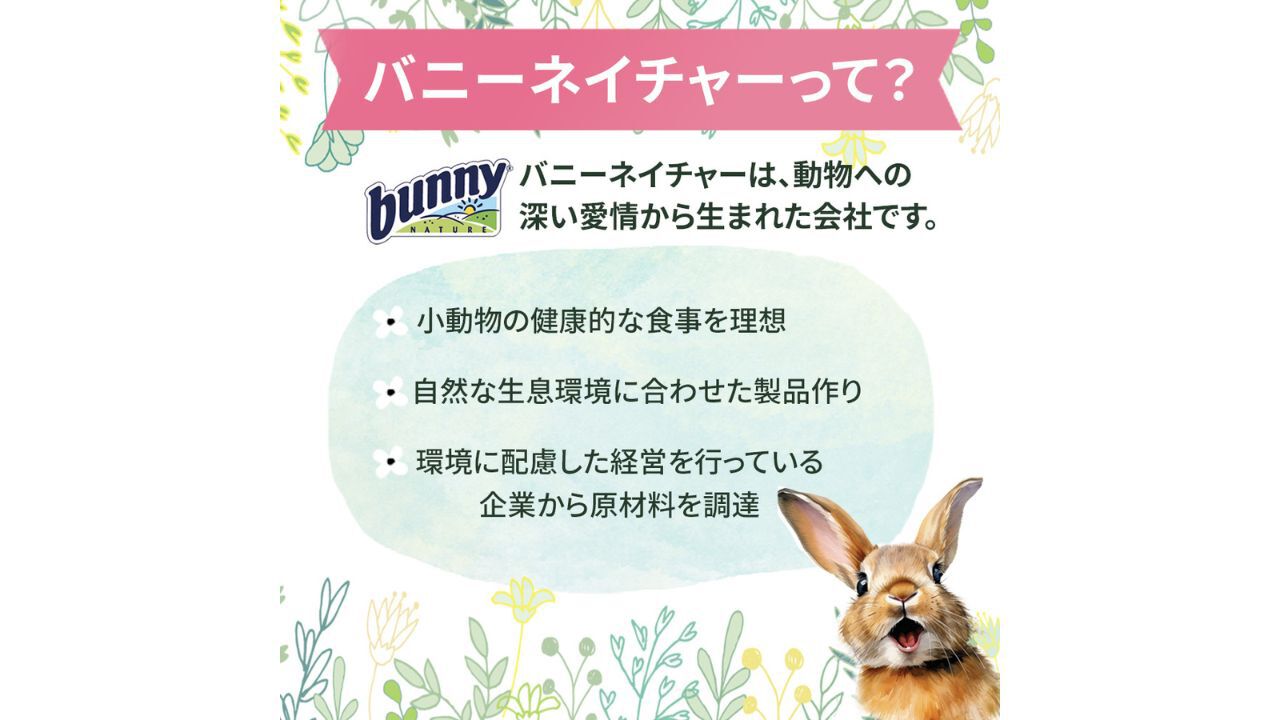 バニーネイチャー取り扱いしてます