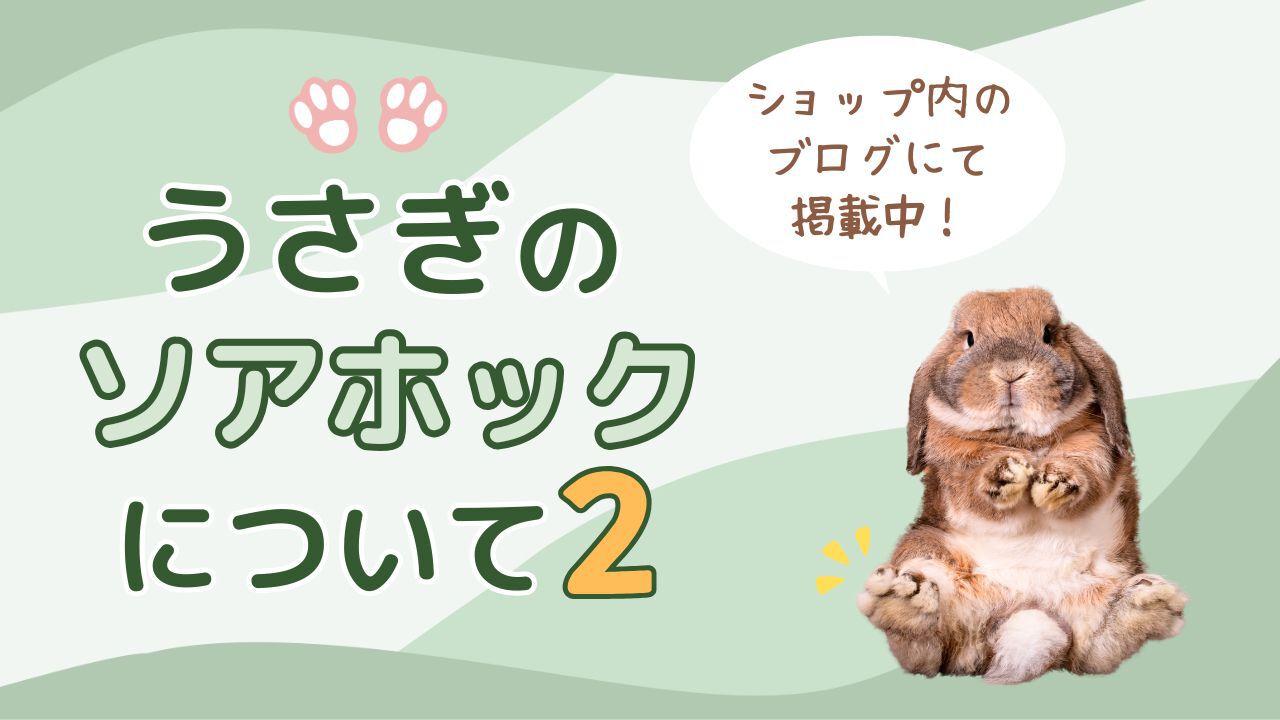 うさぎの「ソアホック」とは？原因・症状・治し方・予防法を徹底解説②