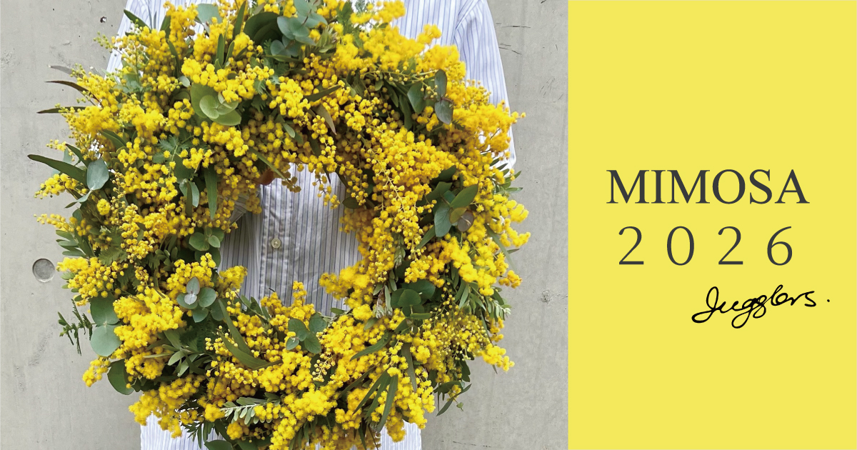 今が最盛期🌼ミモザ🌼