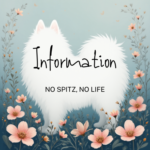 フラワーフレーム一時販売休止のお知らせ