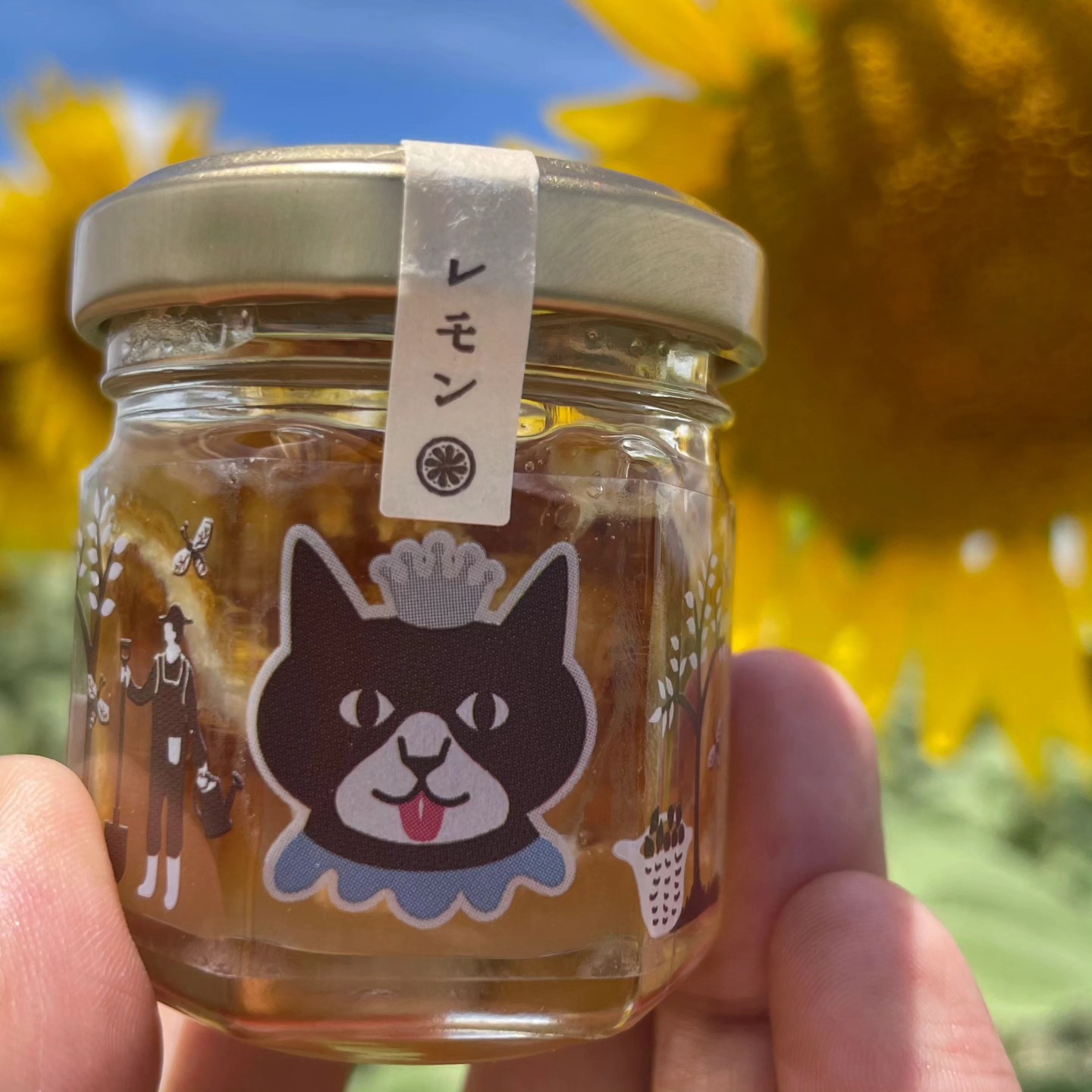 【残暑お見舞いにおすすめ】岡山県産100%生はちみつ漬けドライフルーツご案内🍯🌻