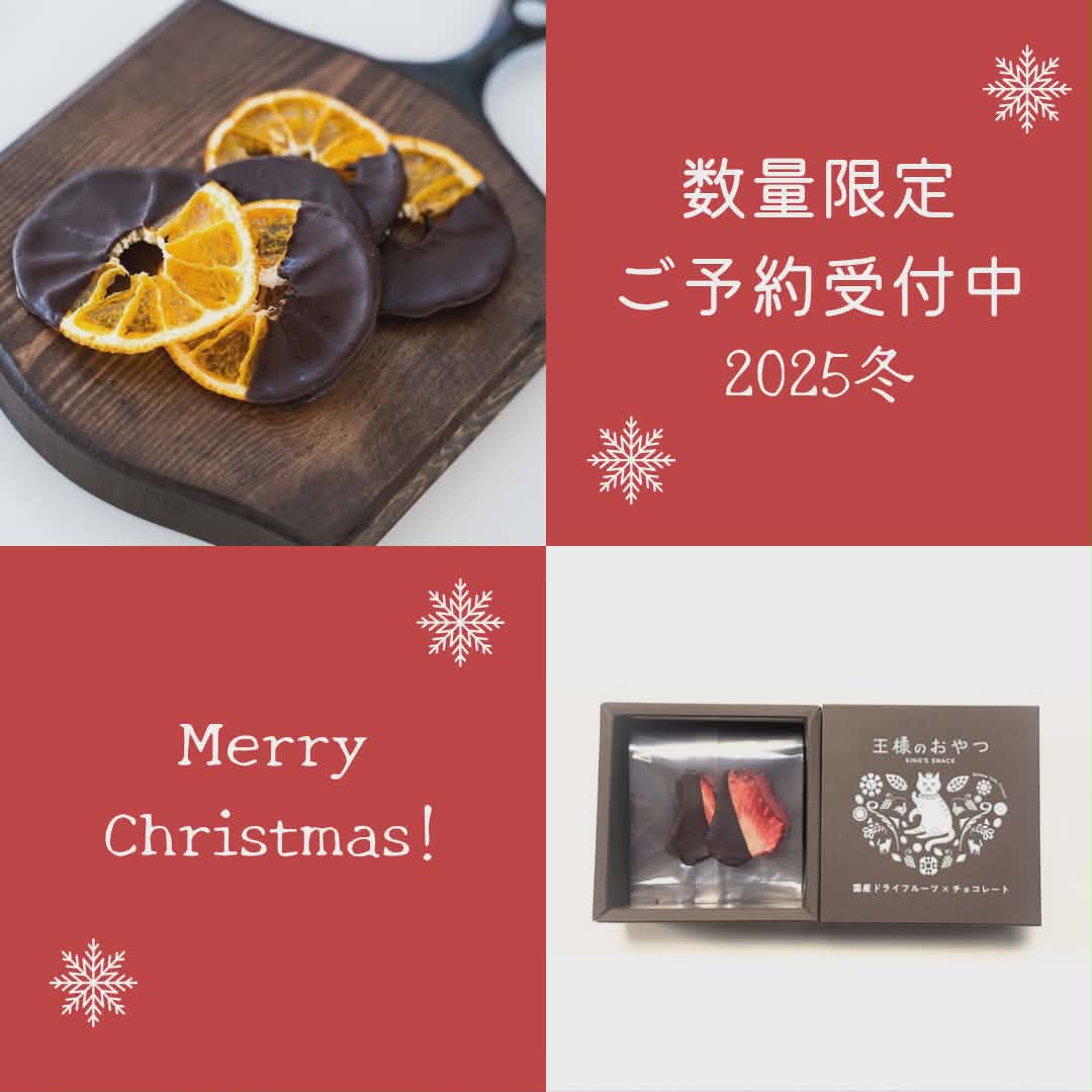 【数量限定・ご予約受付中】チョコレートがけドライフルーツ~クリスマスプレゼント・お歳暮などに~