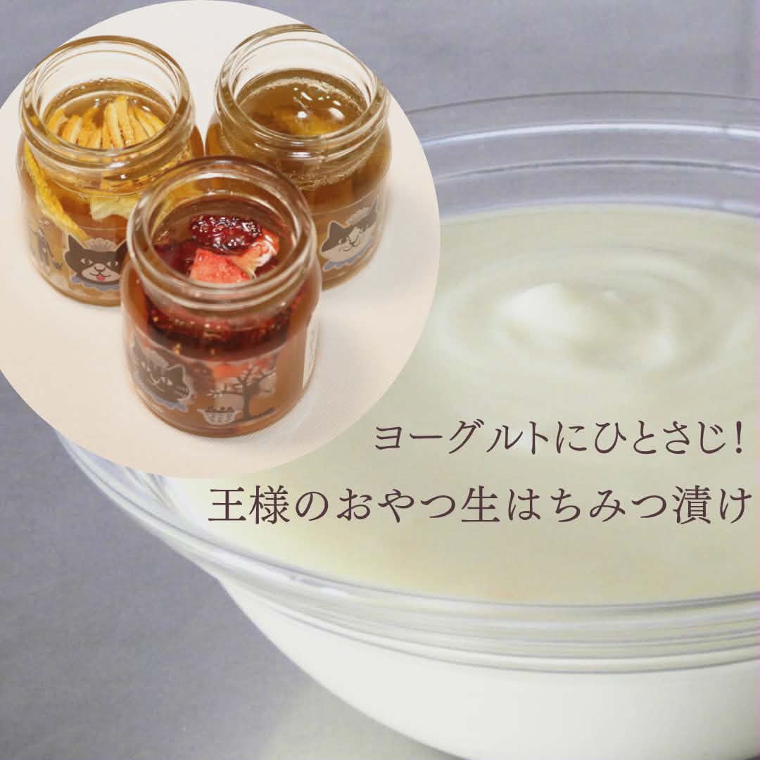 【春の体調管理のお供に】王様のおやつの生はちみつ漬けをヨーグルトにひとさじ
