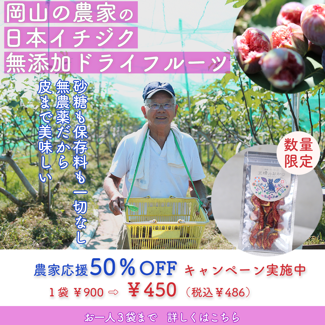発売開始【50%OFF】日本イチジクのドライフルーツ（王様のおやつ発売１周年感謝企画）
