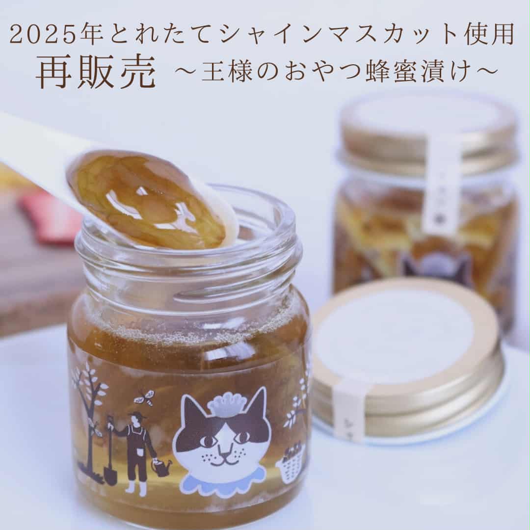 【再販売スタート】2025年夏とれたてシャインマスカットを使用～王様のおやつ蜂蜜漬け～