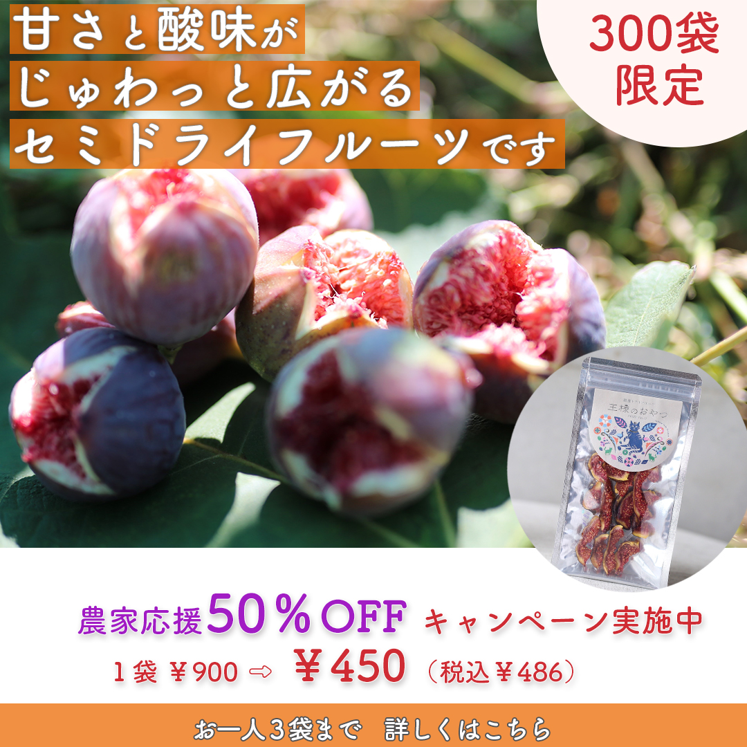 【残りわずか】お急ぎください。日本イチジクのドライフルーツ50%OFF